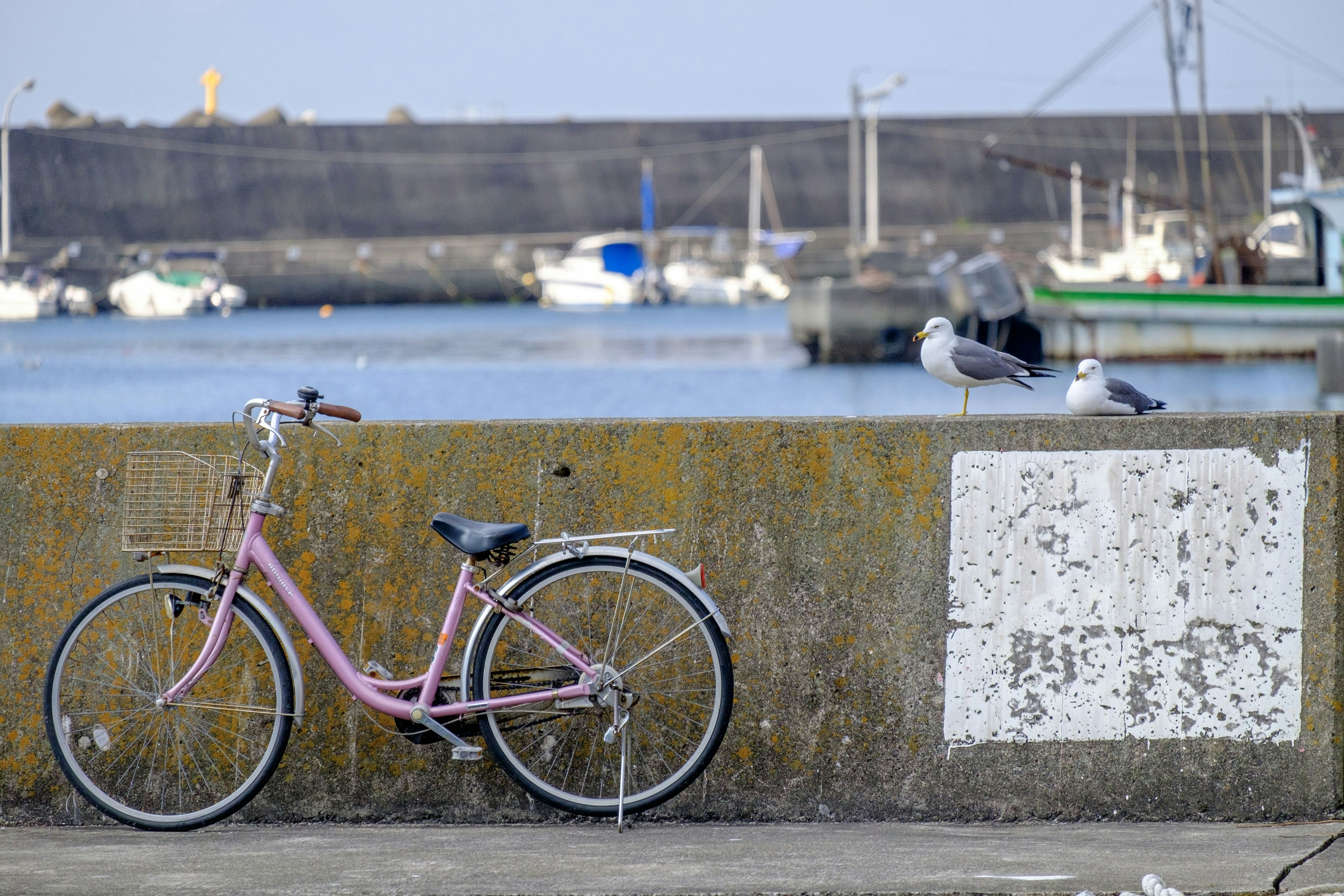 Una bicicletta rosa appoggiata a un muro vicino al porto