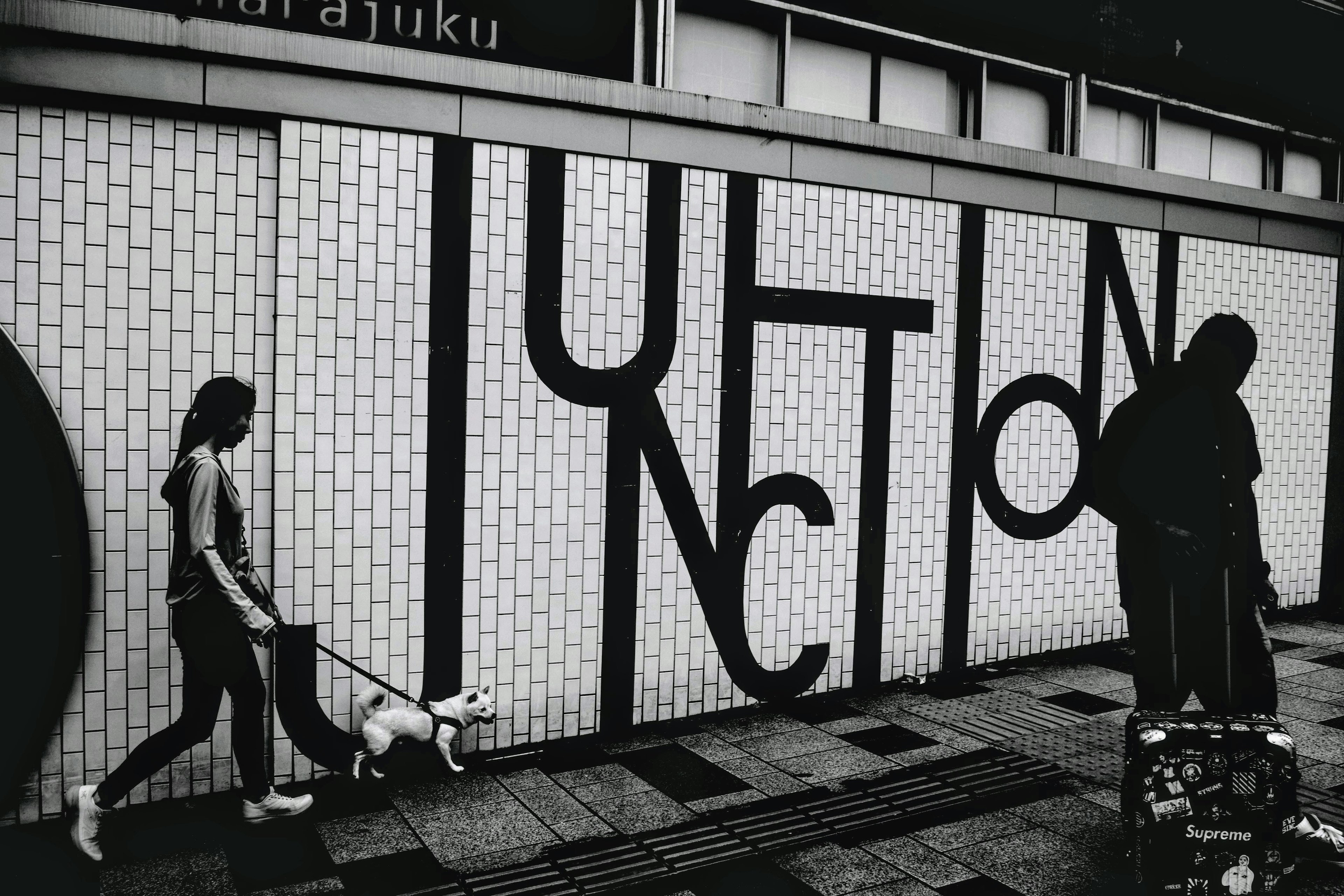 Foto en blanco y negro de una mujer paseando un perro con la palabra 'JUNCTION' en letras grandes en la pared