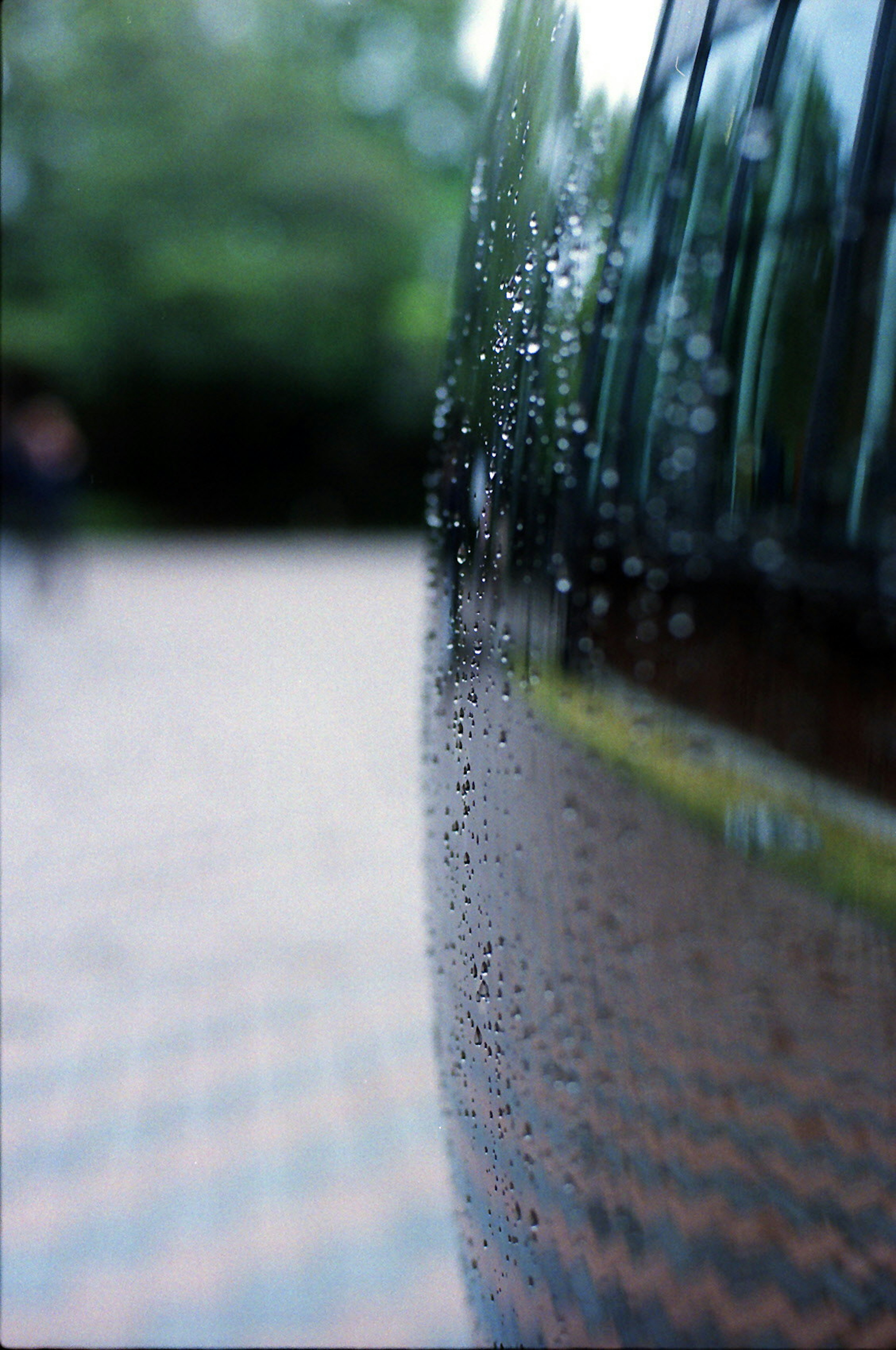 Gros plan sur la carrosserie noire d'une voiture avec des gouttes de pluie et des arbres verts flous en arrière-plan