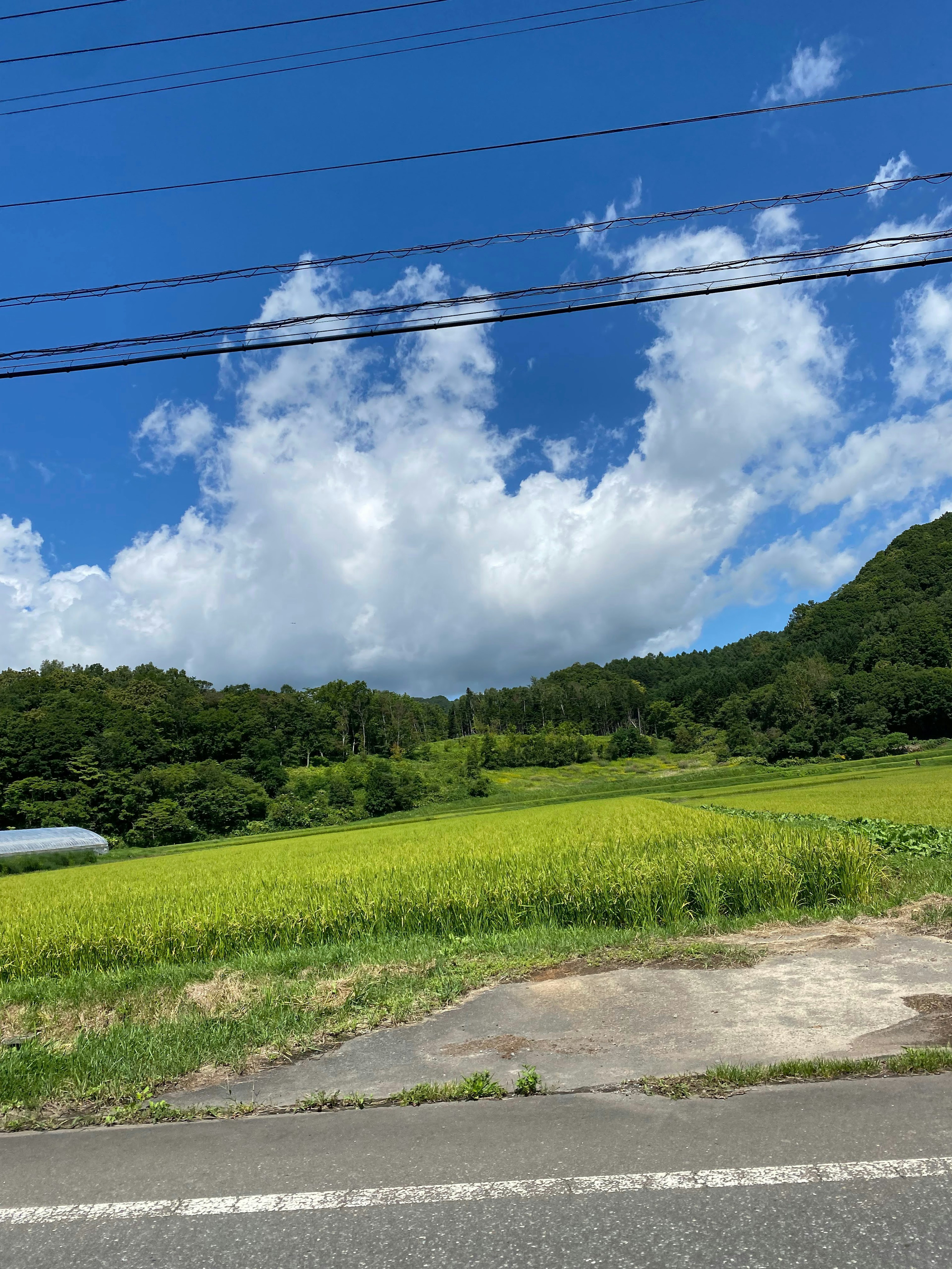 Pemandangan dengan langit biru dan awan putih sawah hijau dan perbukitan