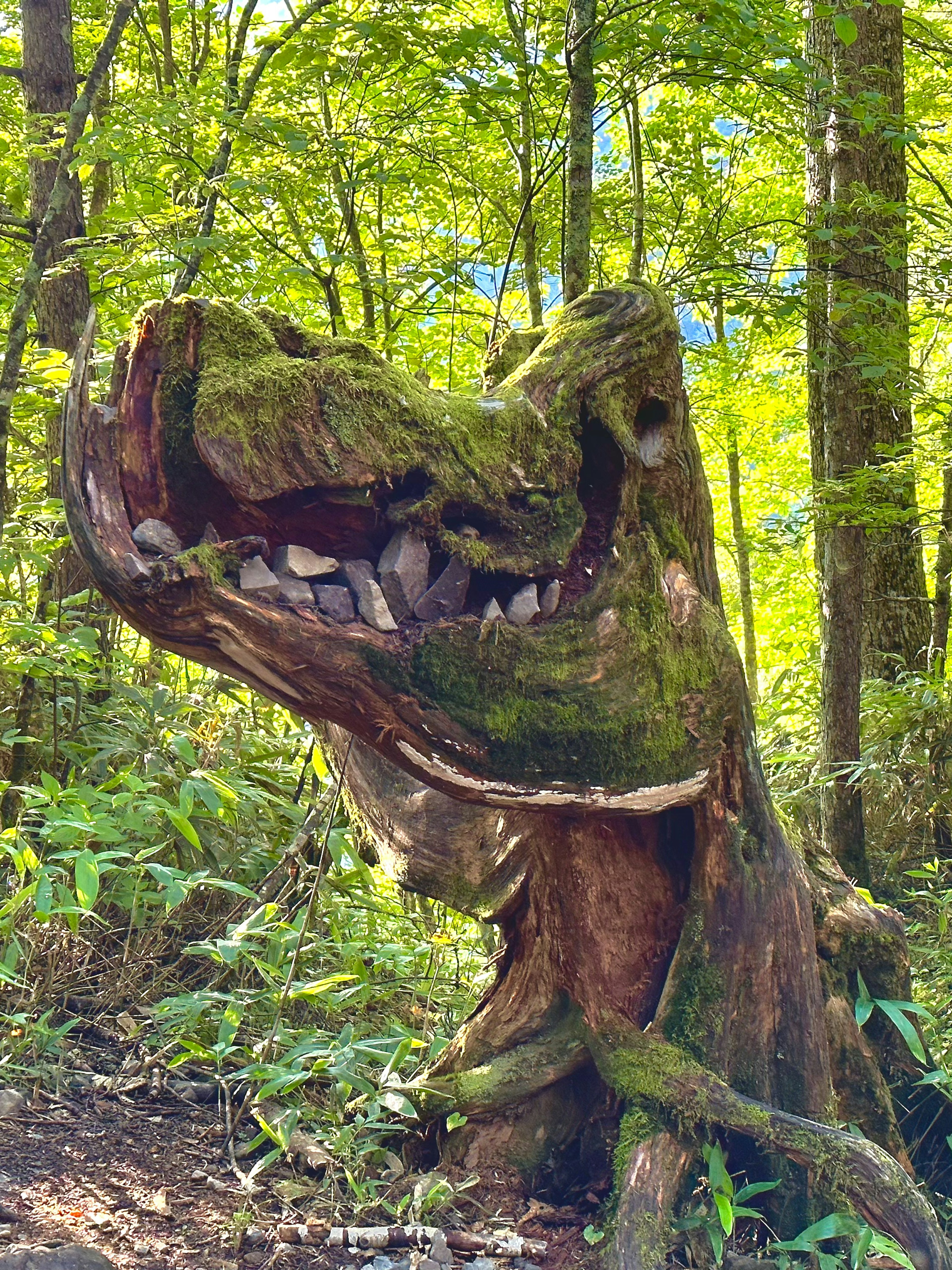 Un ceppo d'albero coperto di muschio che somiglia al volto di una creatura in una foresta