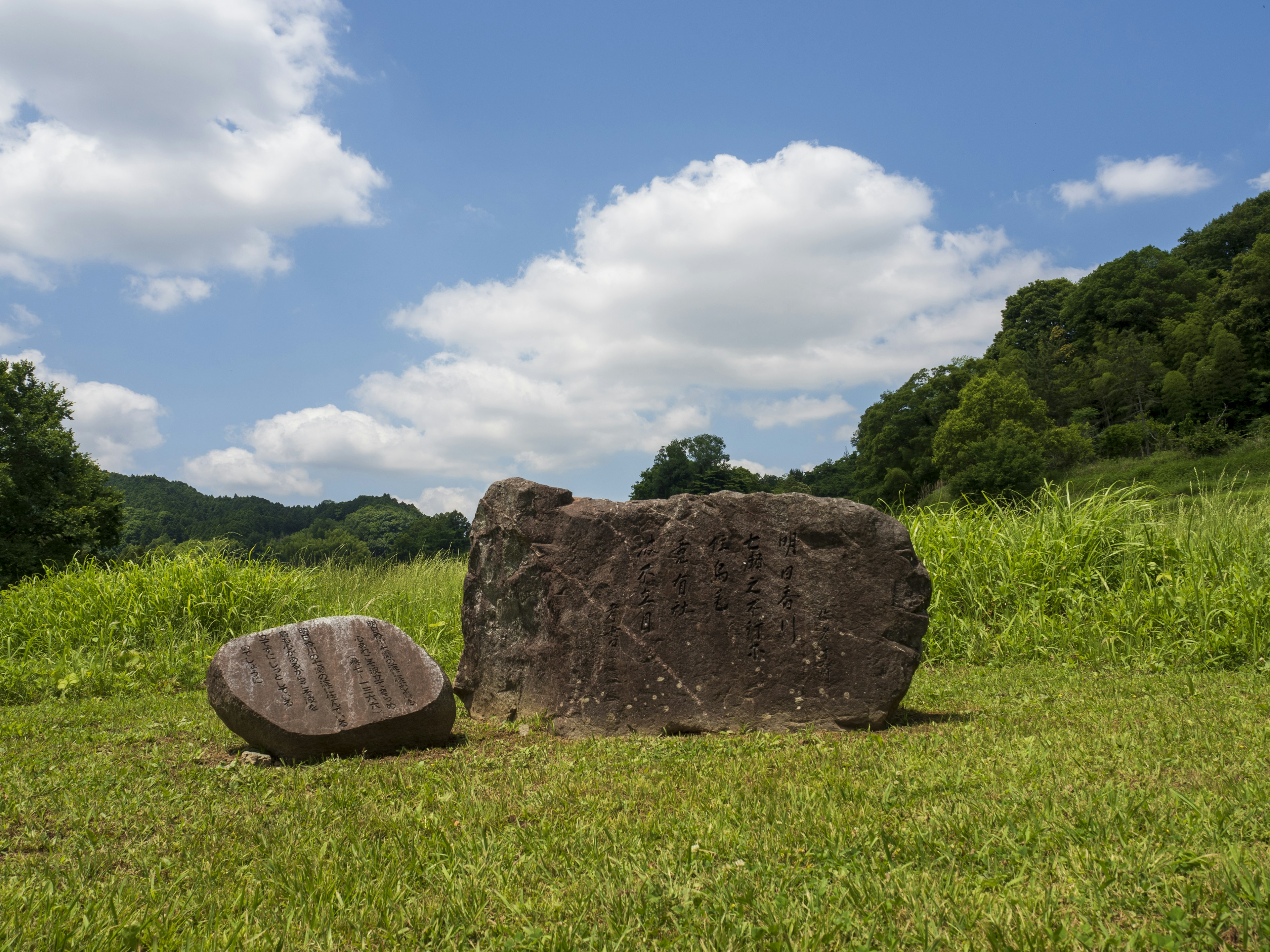 Un grand rocher et un petit rocher sur de l'herbe verte sous un ciel bleu