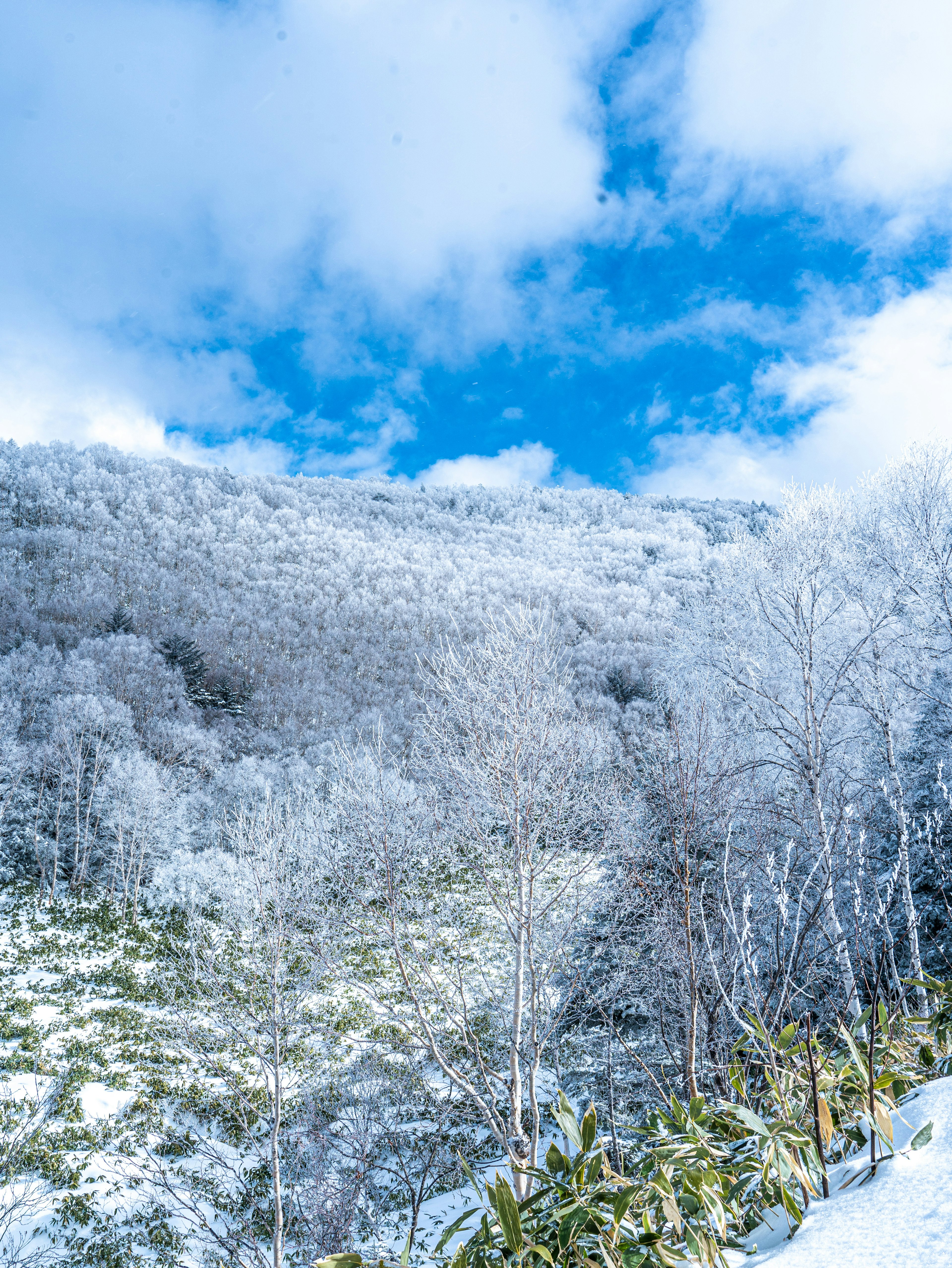 Snow-covered mountains under a blue sky