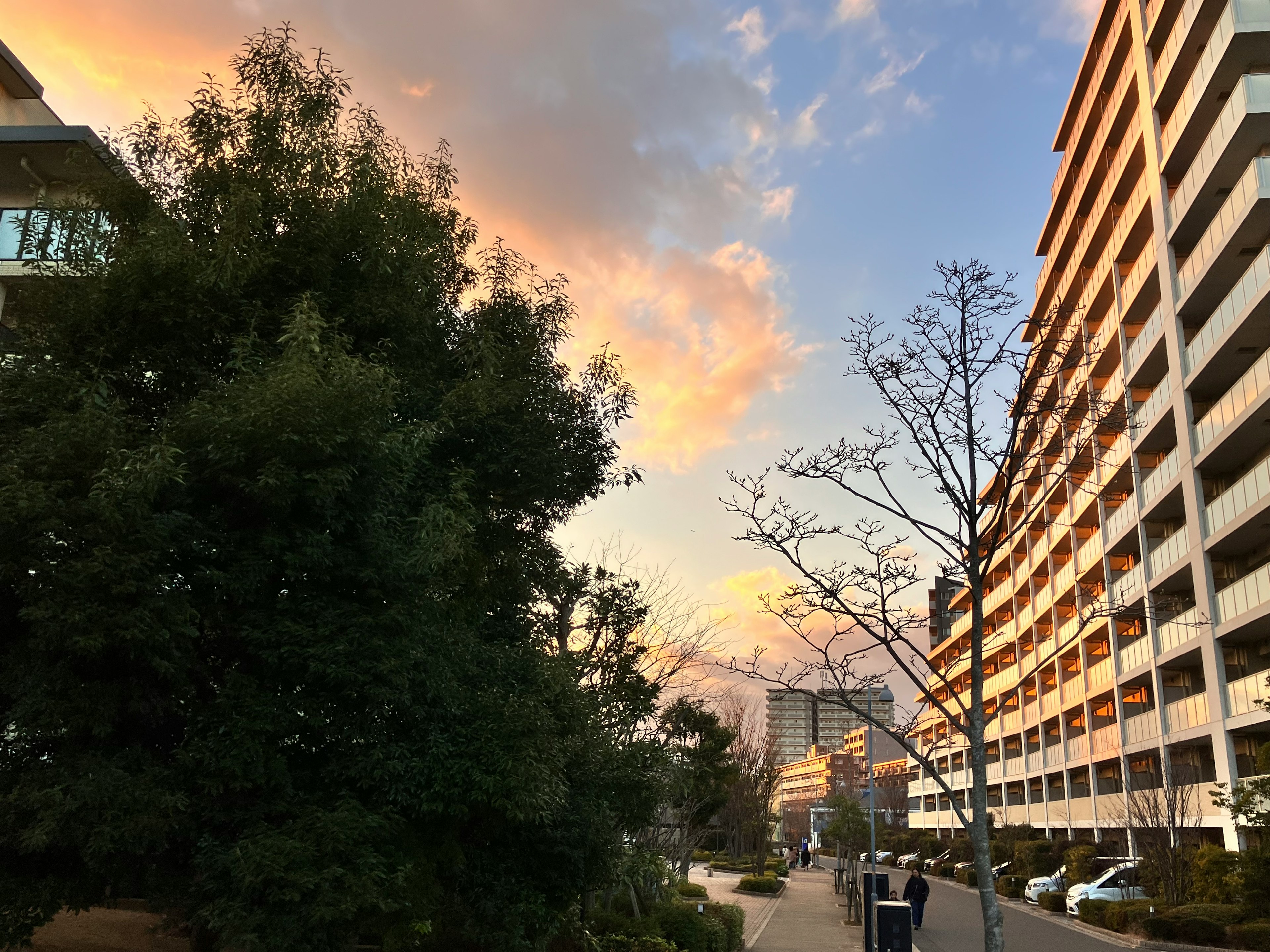 Langit senja dengan gedung apartemen dan pohon