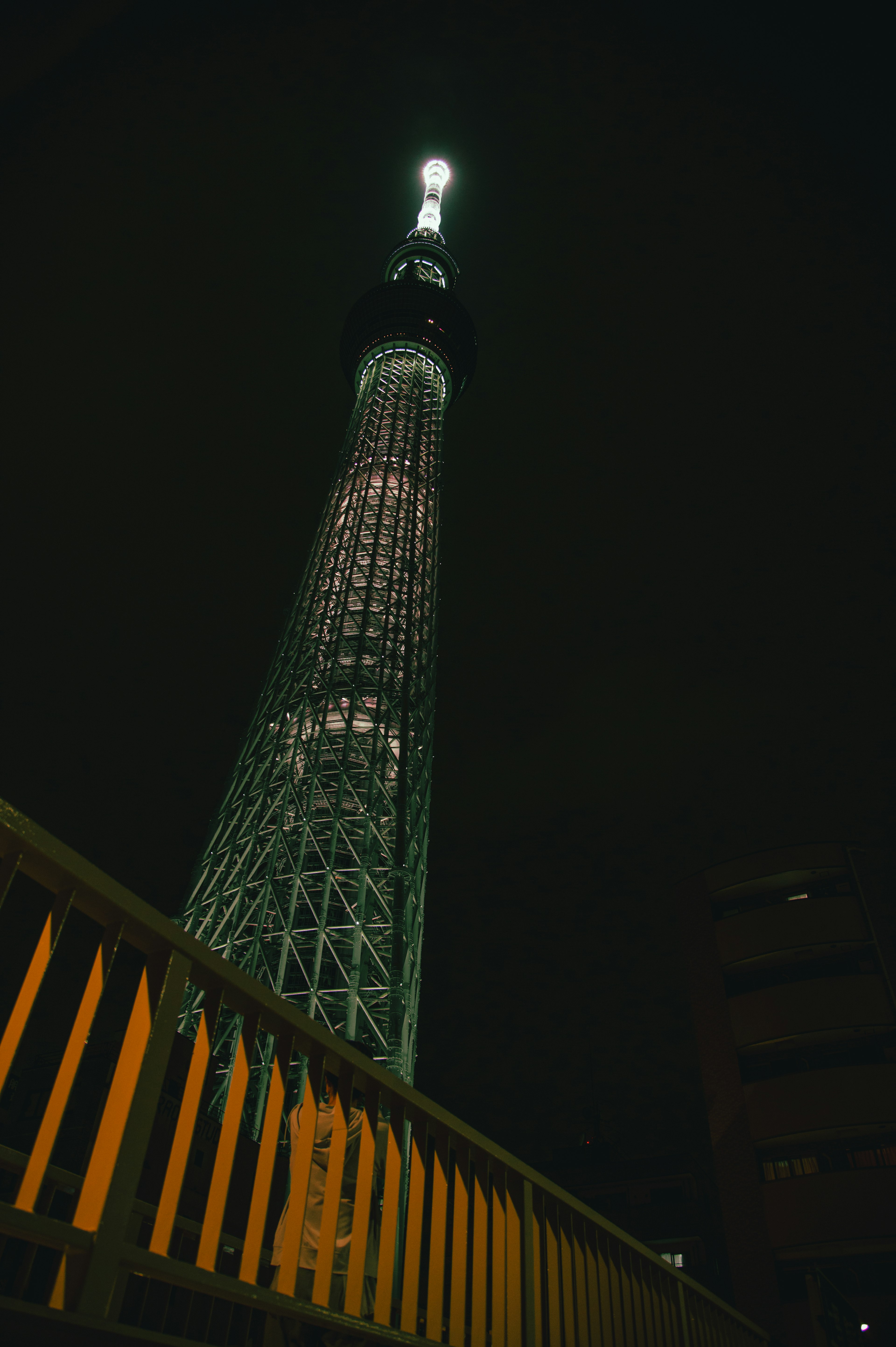 Vue nocturne de la Tokyo Skytree illuminée en haut tour haute