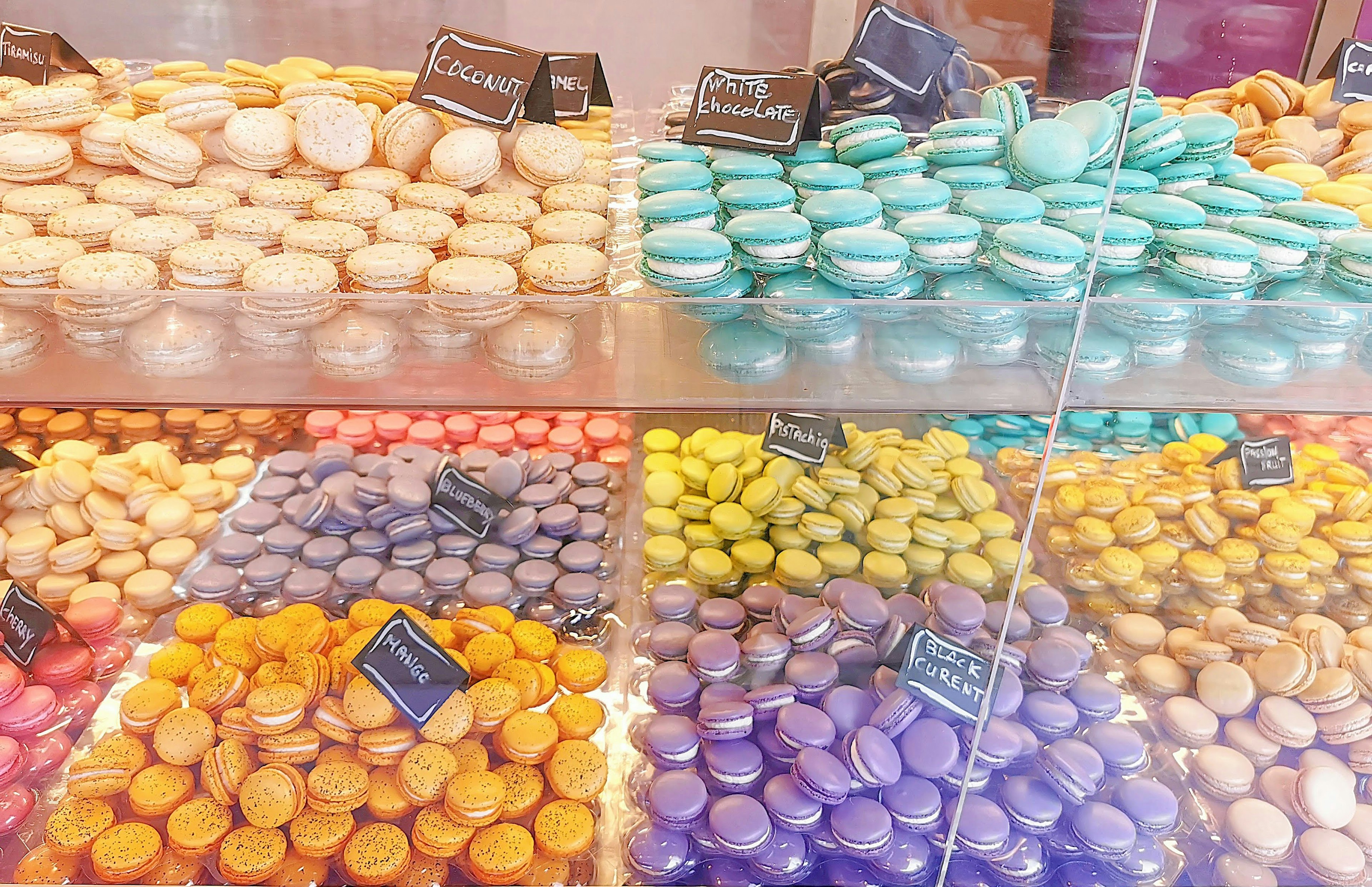 Colorful macarons displayed in a showcase