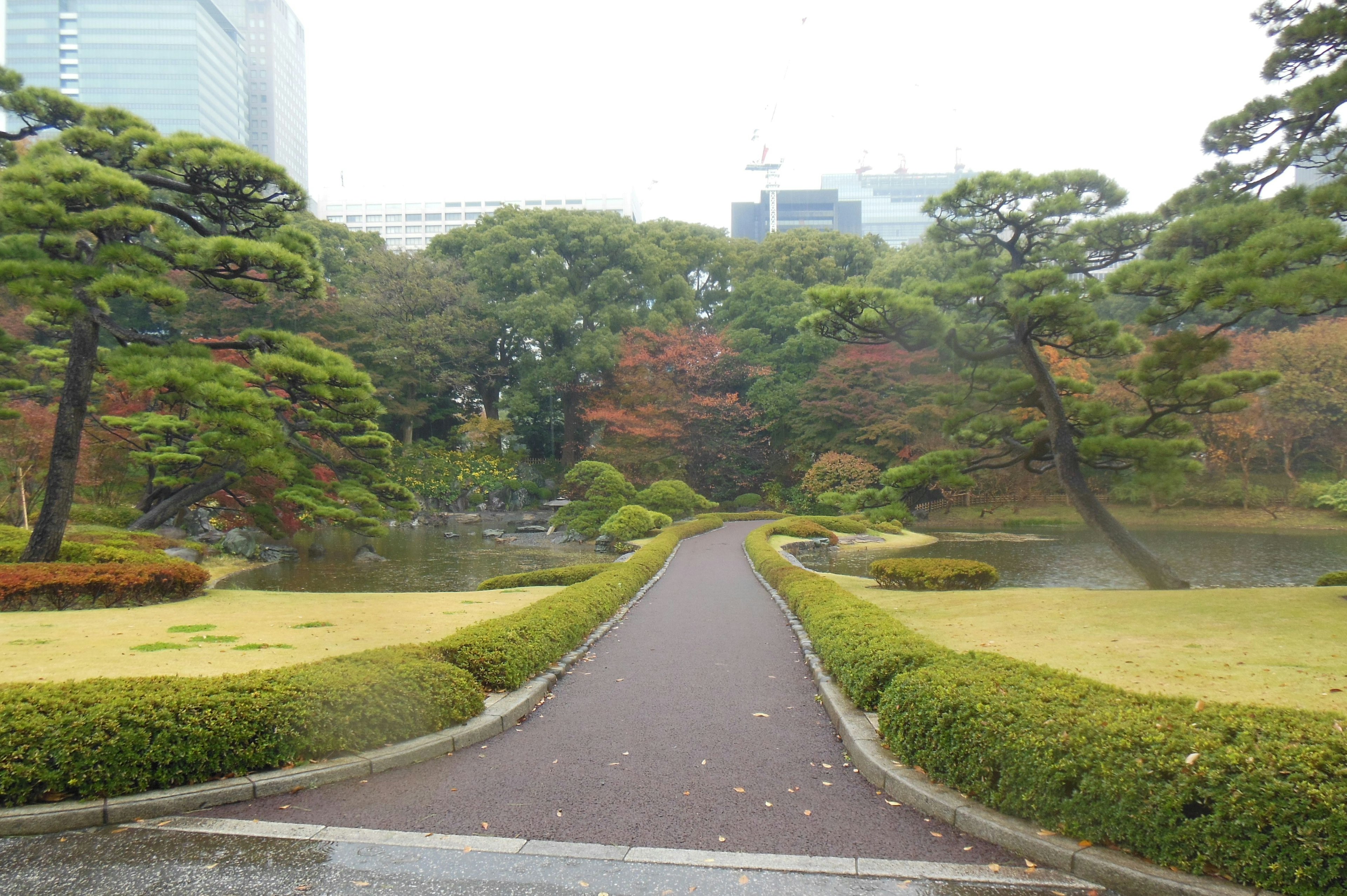 Pathway through a lush garden with a pond