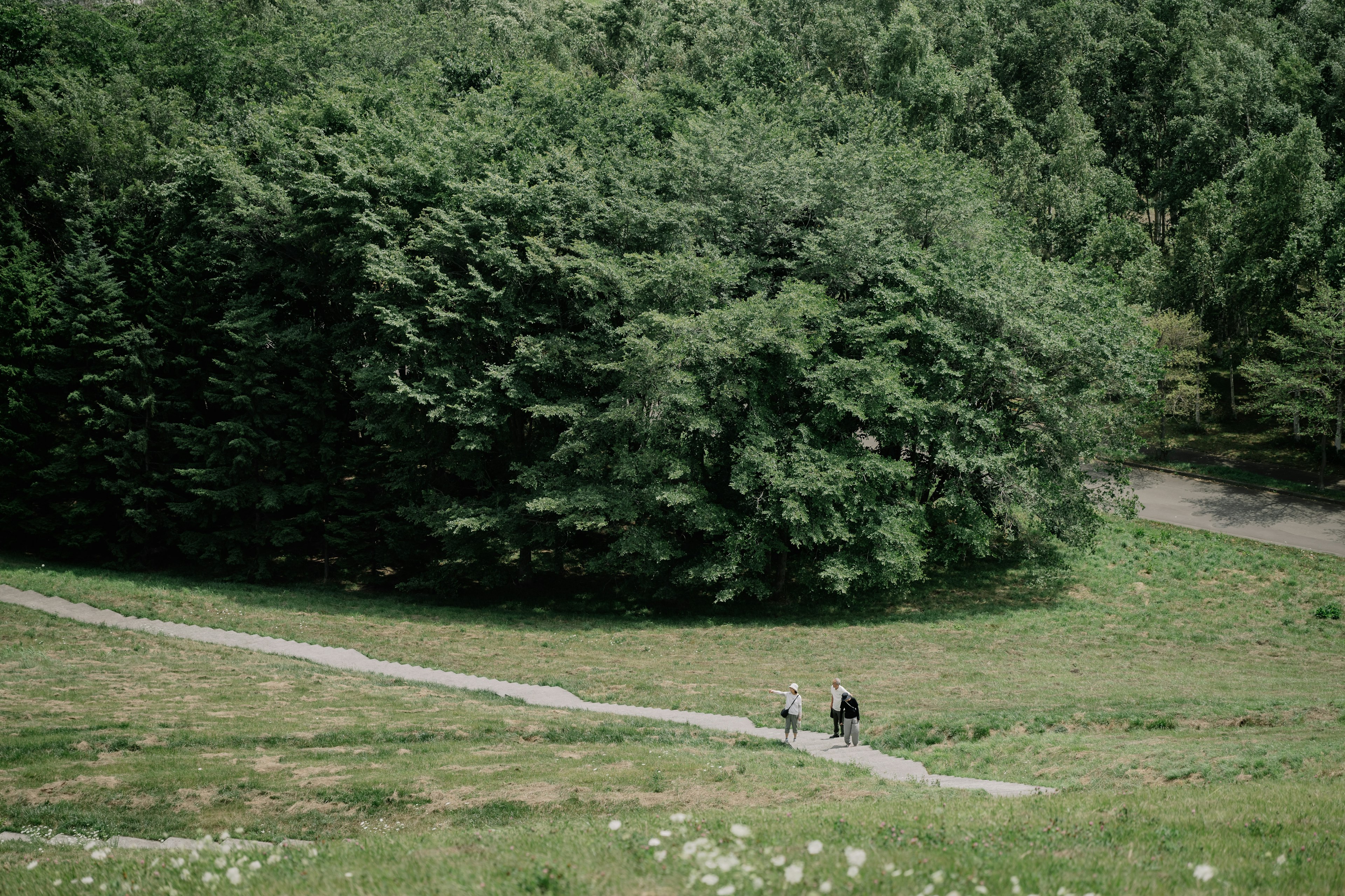 Zwei Wanderer, die auf einem Weg durch eine grüne Landschaft gehen