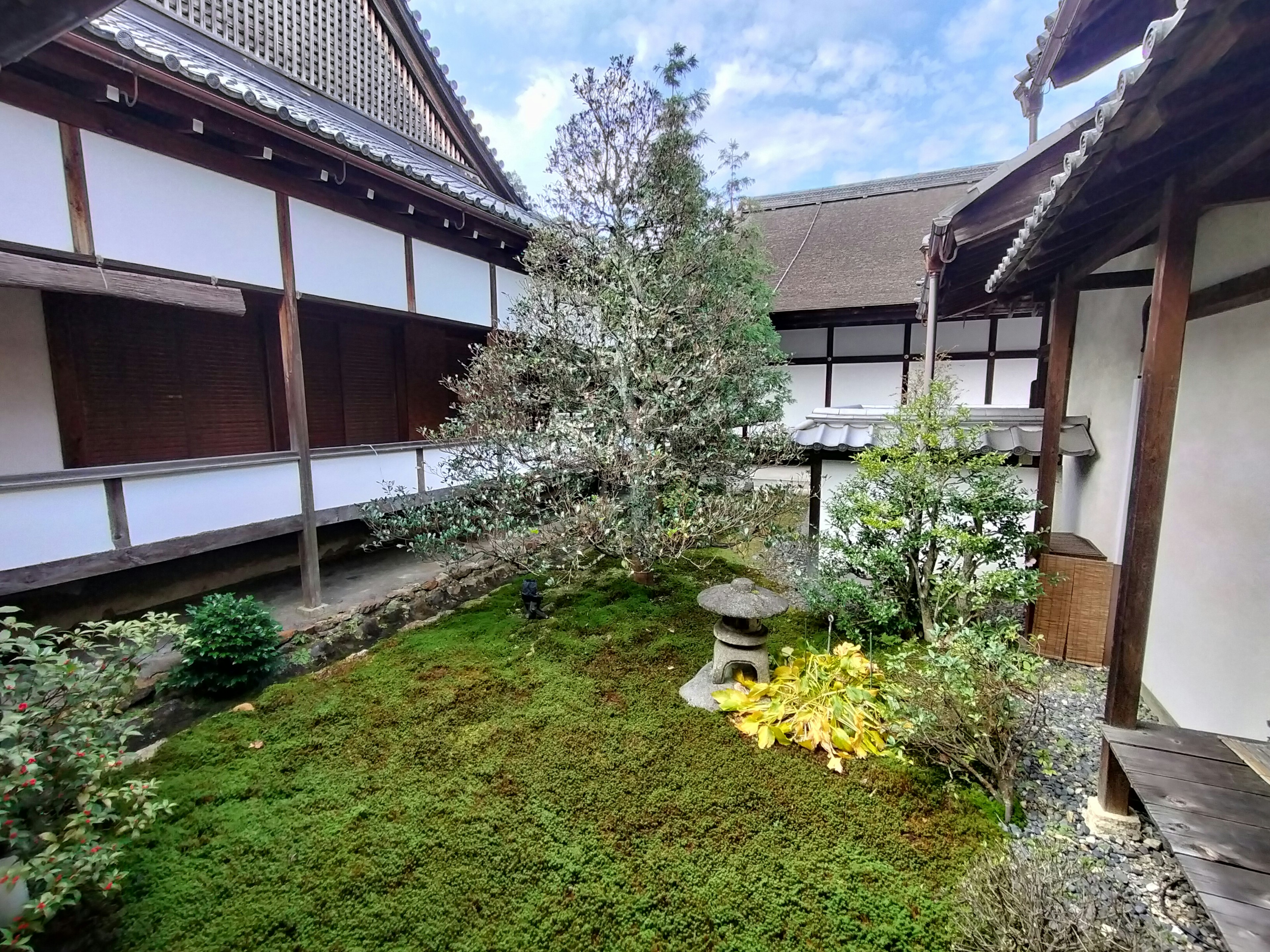 静かな日本庭園の景色 植物と苔の緑が広がる 中央に石の灯籠が見える