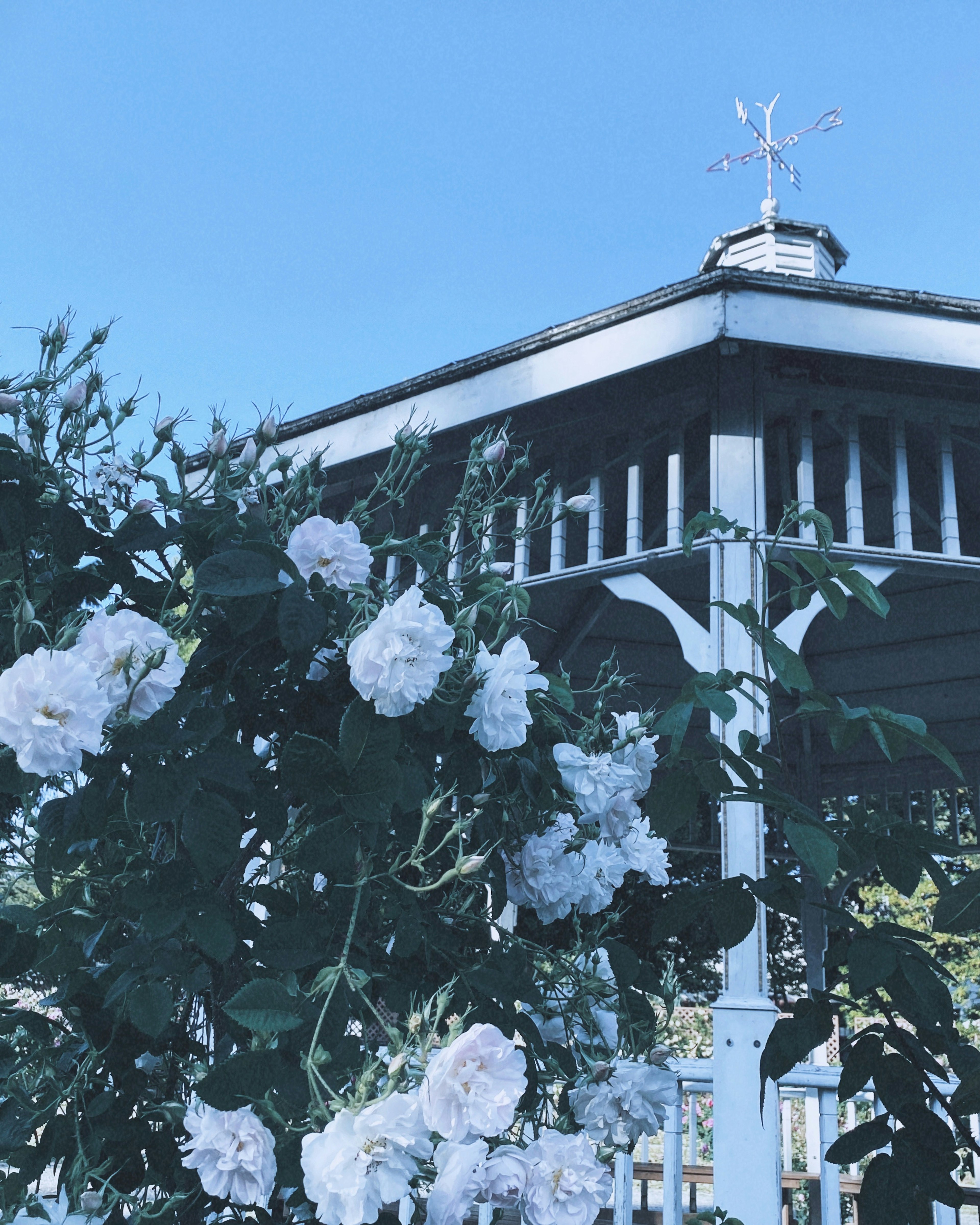 Gazebo de madera adornado con flores blancas bajo un cielo azul