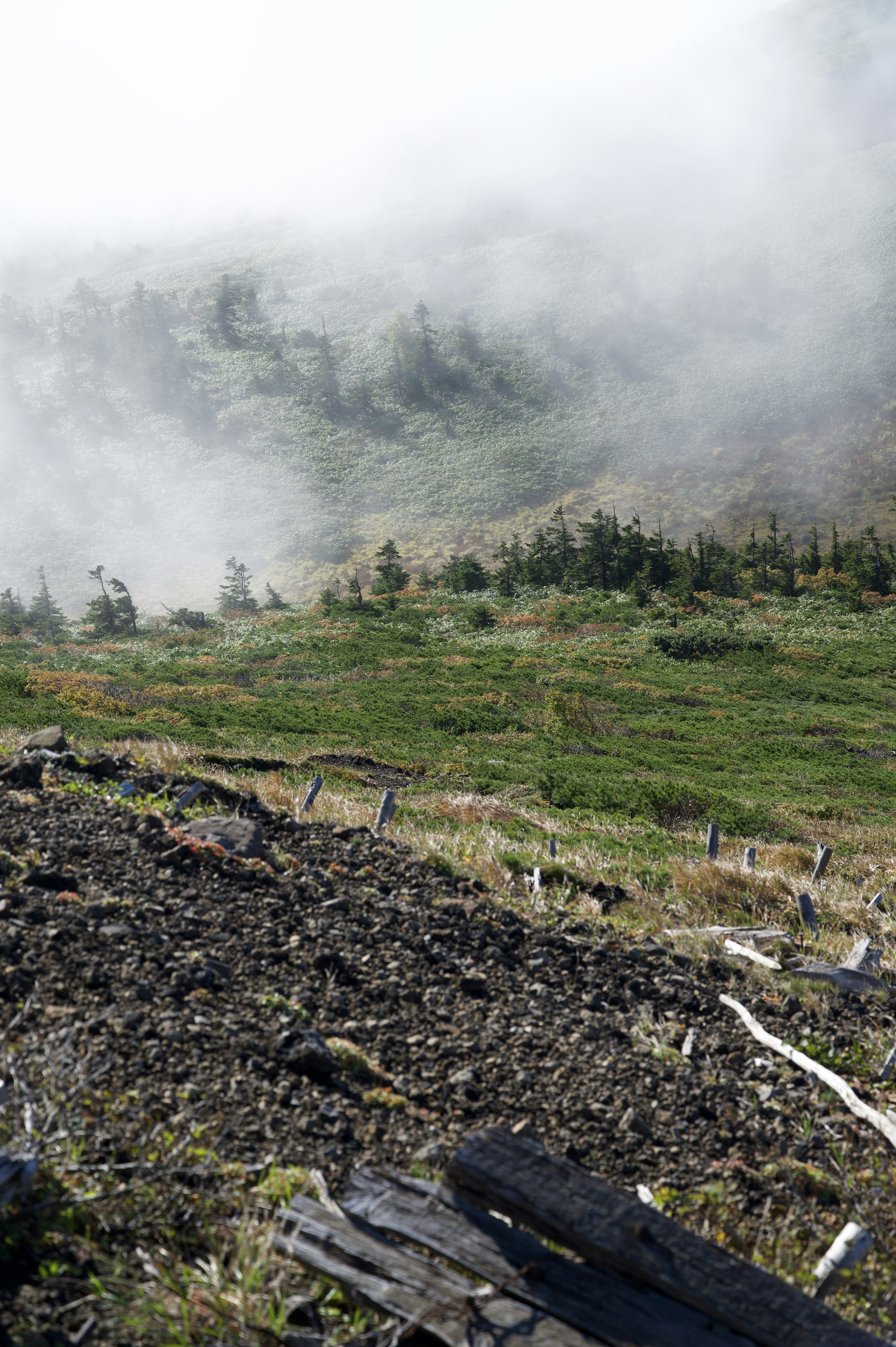 霧に包まれた山の風景と緑の草地