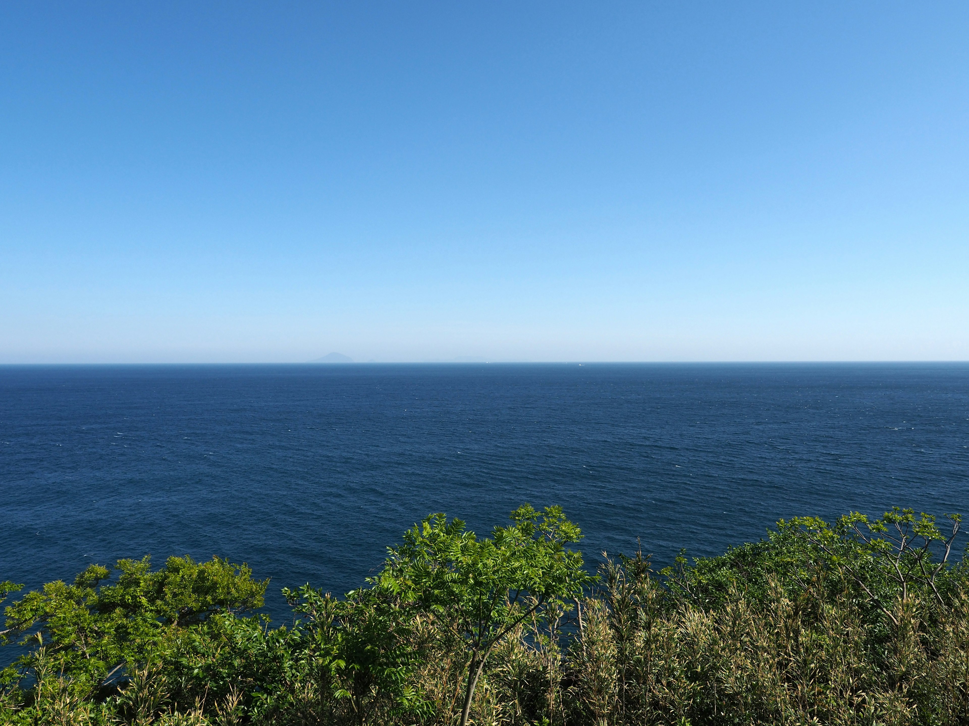 藍色海洋和晴朗天空的風景，前景有綠色樹葉