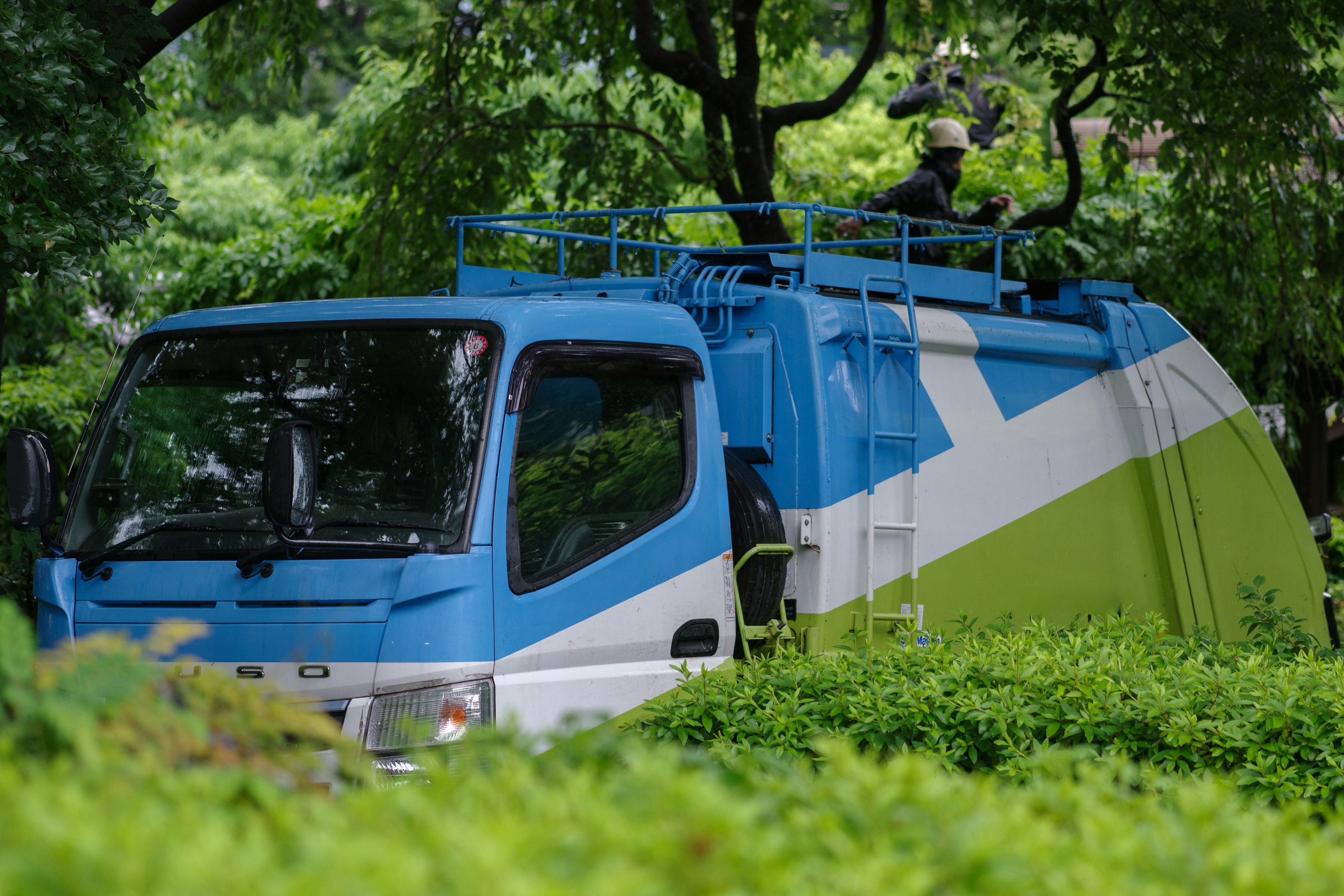 A blue and green patterned truck surrounded by greenery