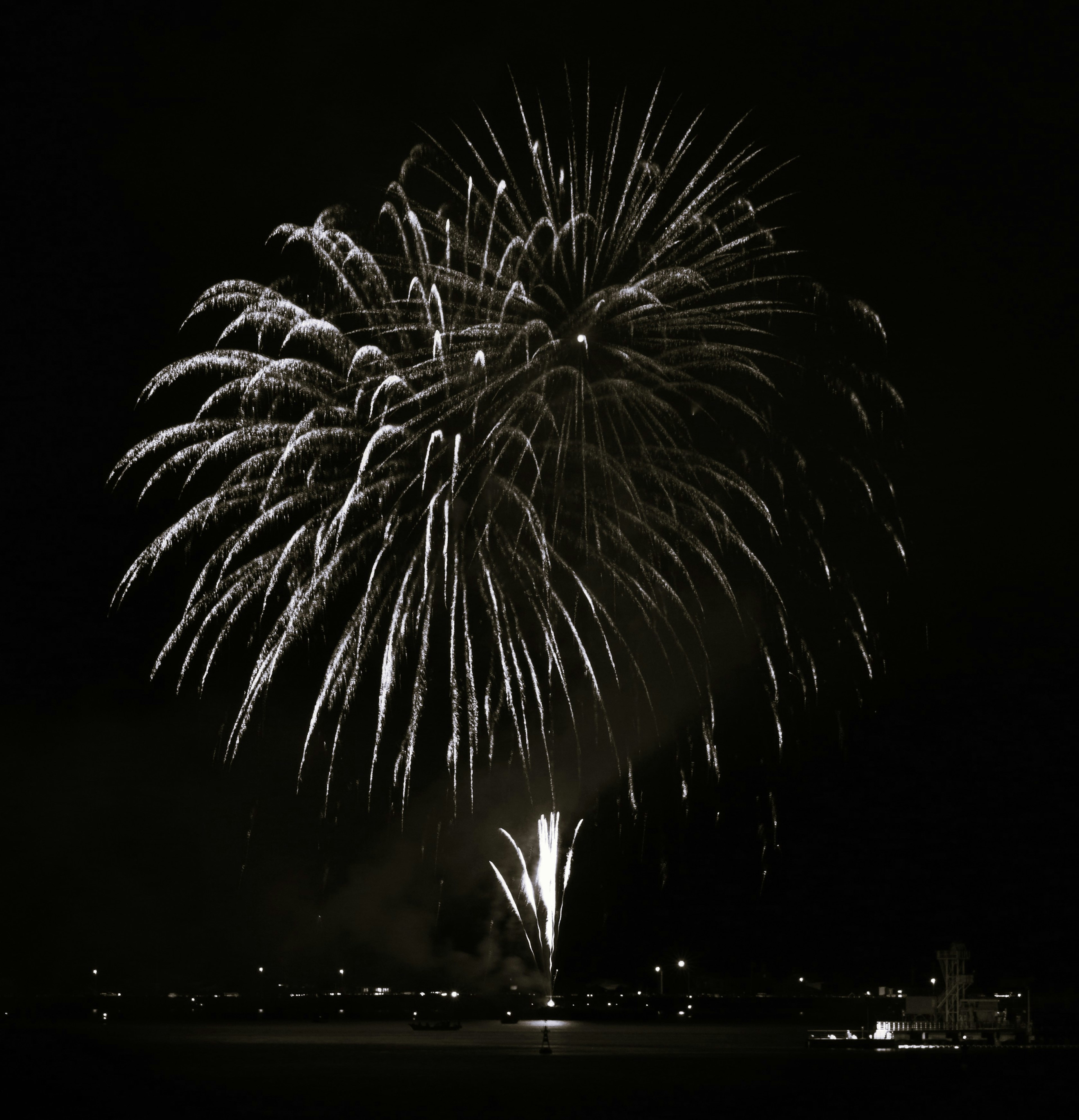 Beautiful display of white fireworks in the night sky