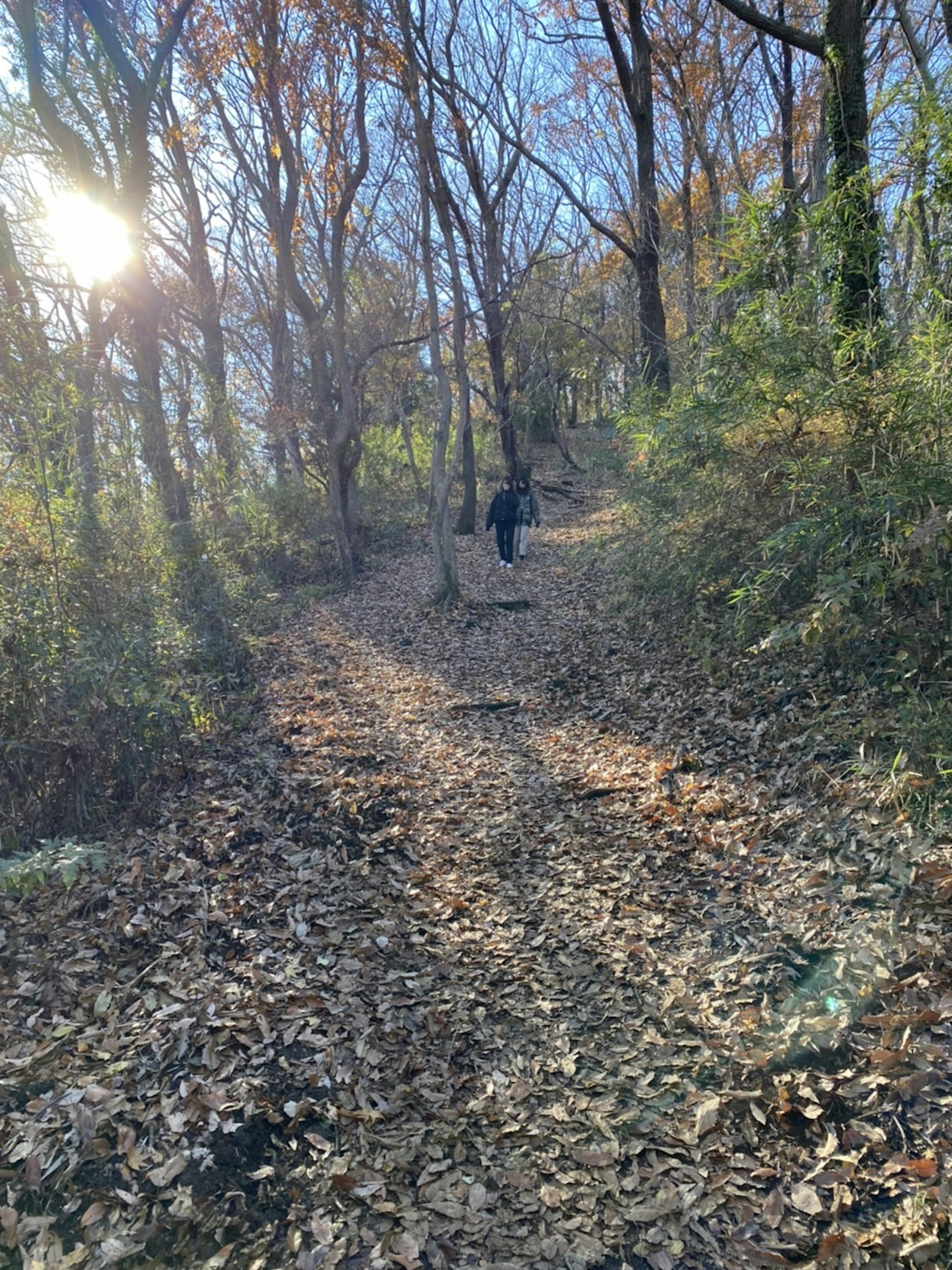 Une personne marchant le long d'un chemin forestier couvert de feuilles d'automne