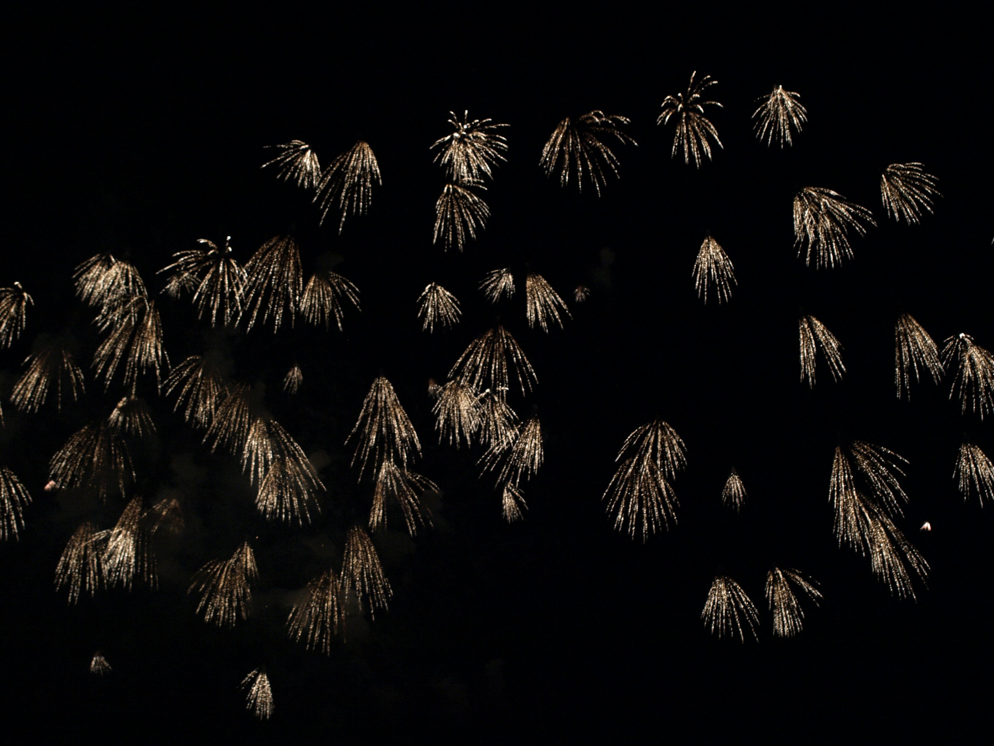 Espectáculo de fuegos artificiales dorados sobre fondo negro