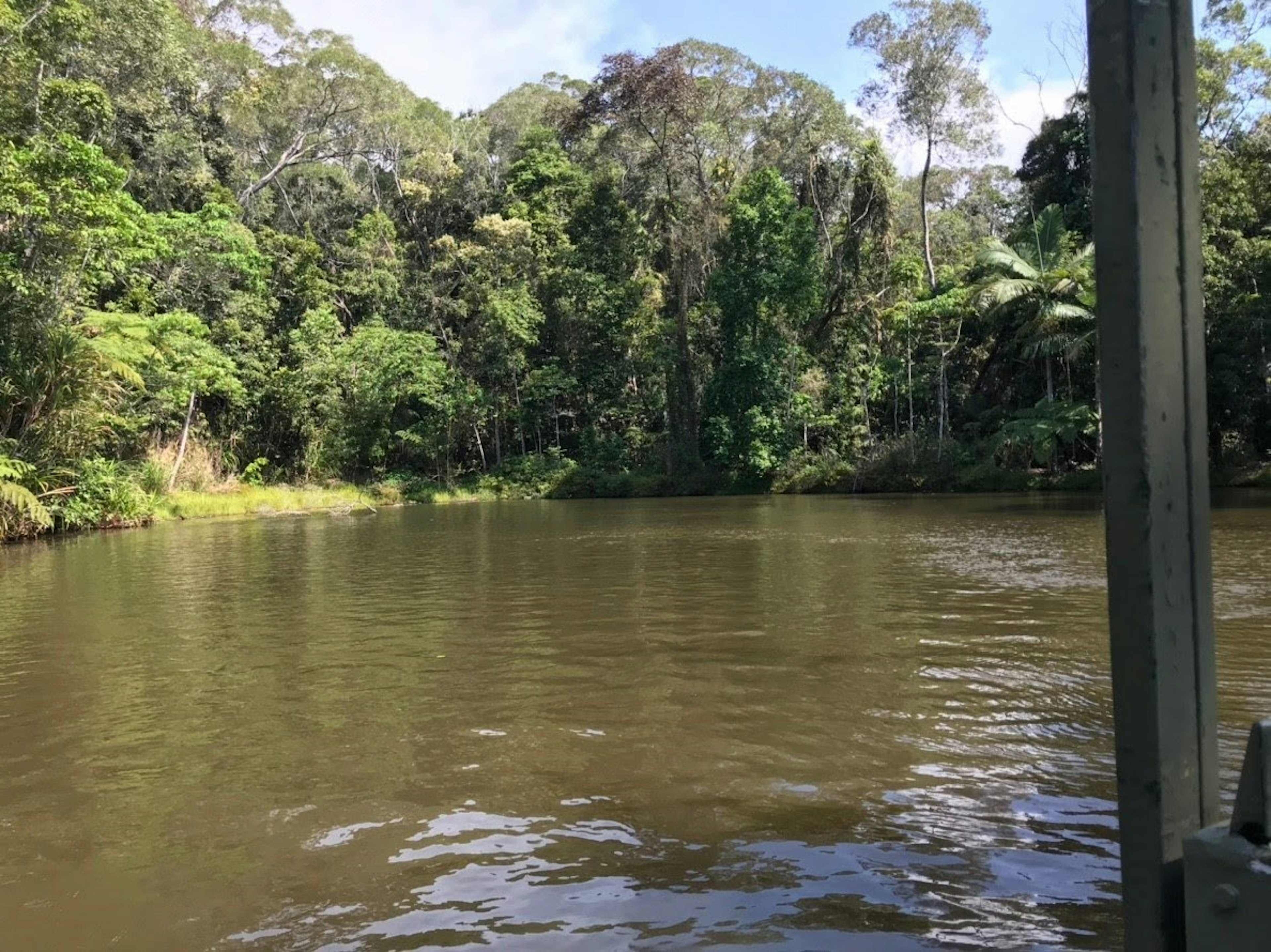 Sungai tenang dikelilingi hutan hijau lebat