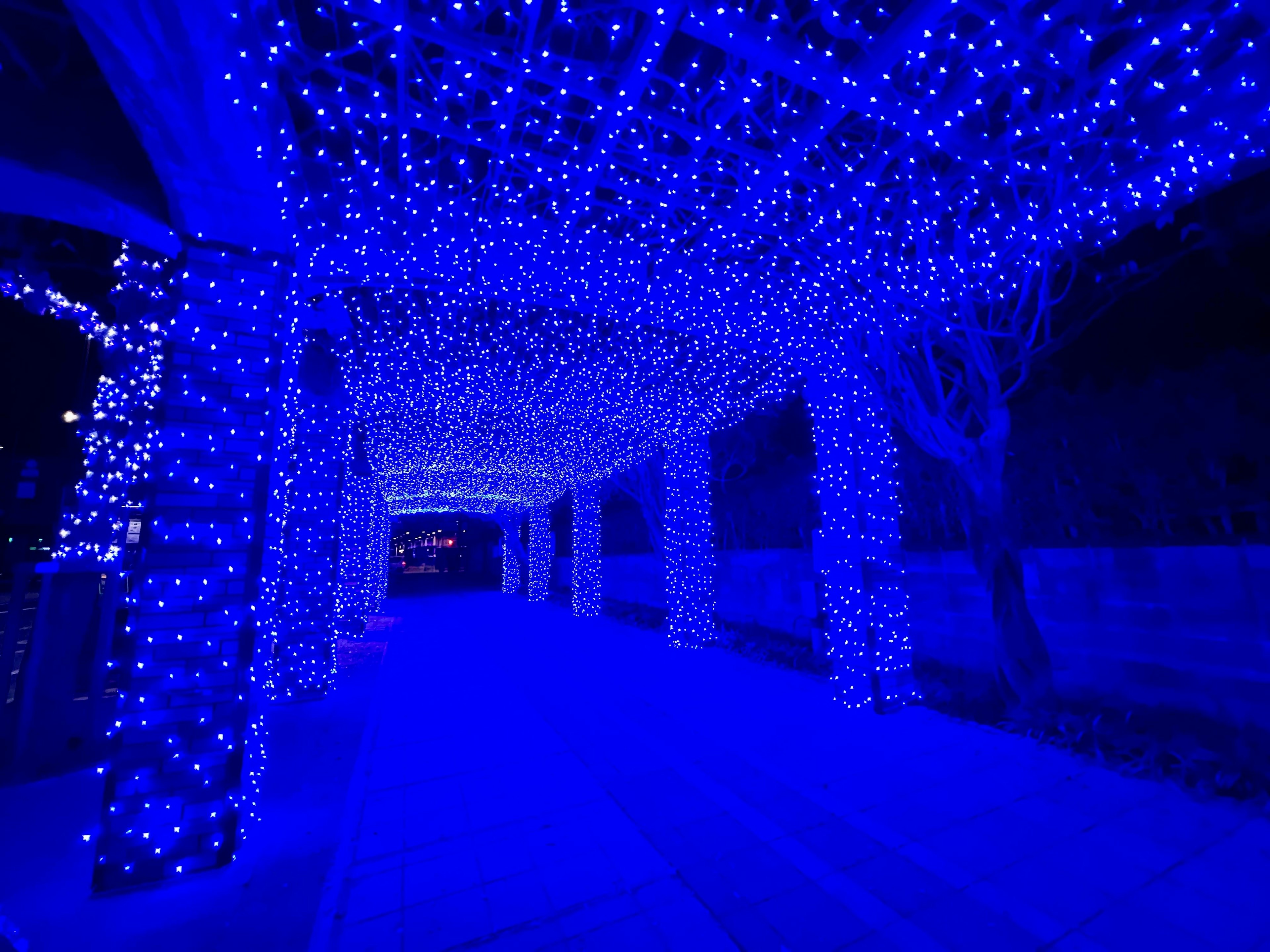 A tunnel-like walkway adorned with blue string lights