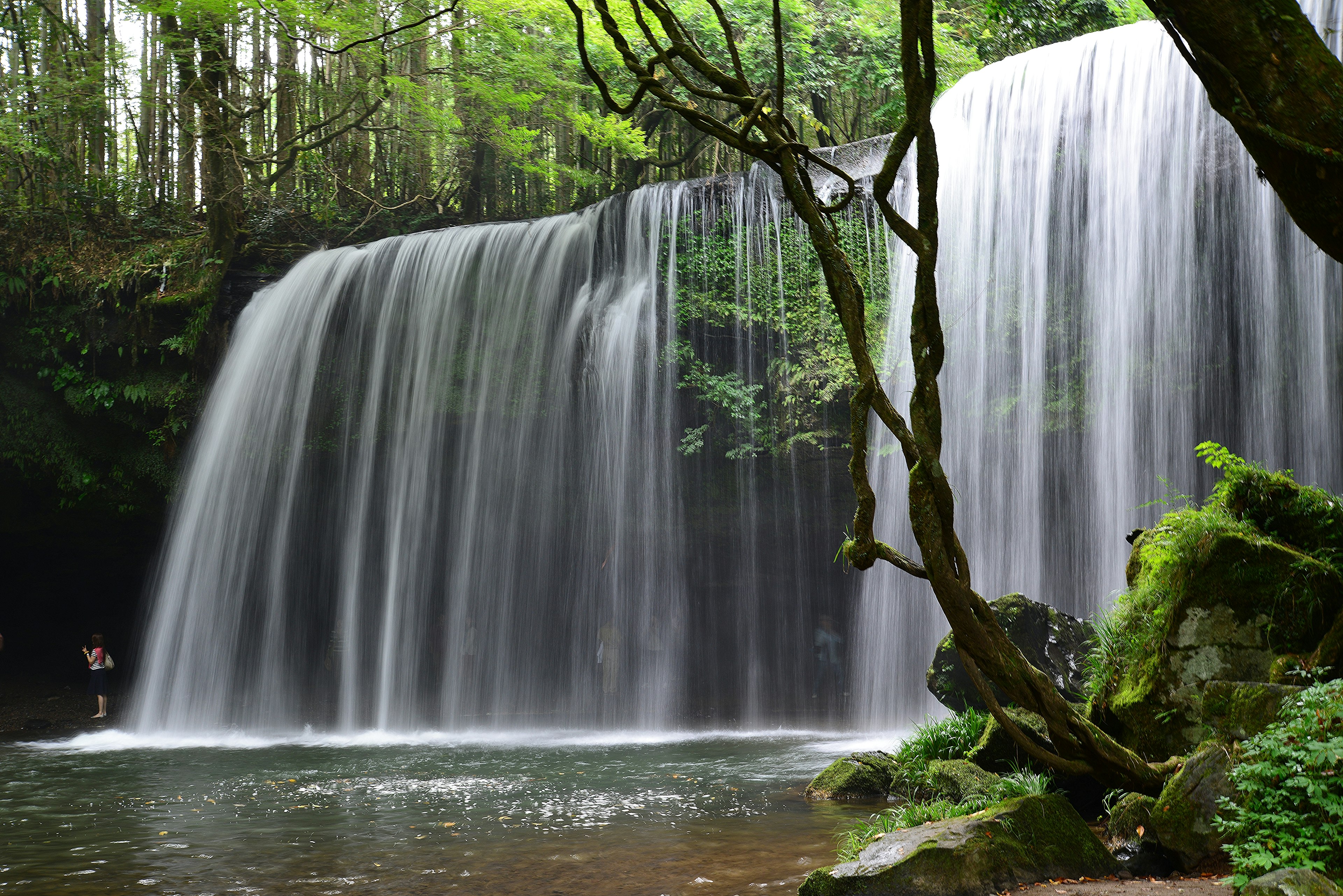 A serene waterfall surrounded by lush green trees with flowing water