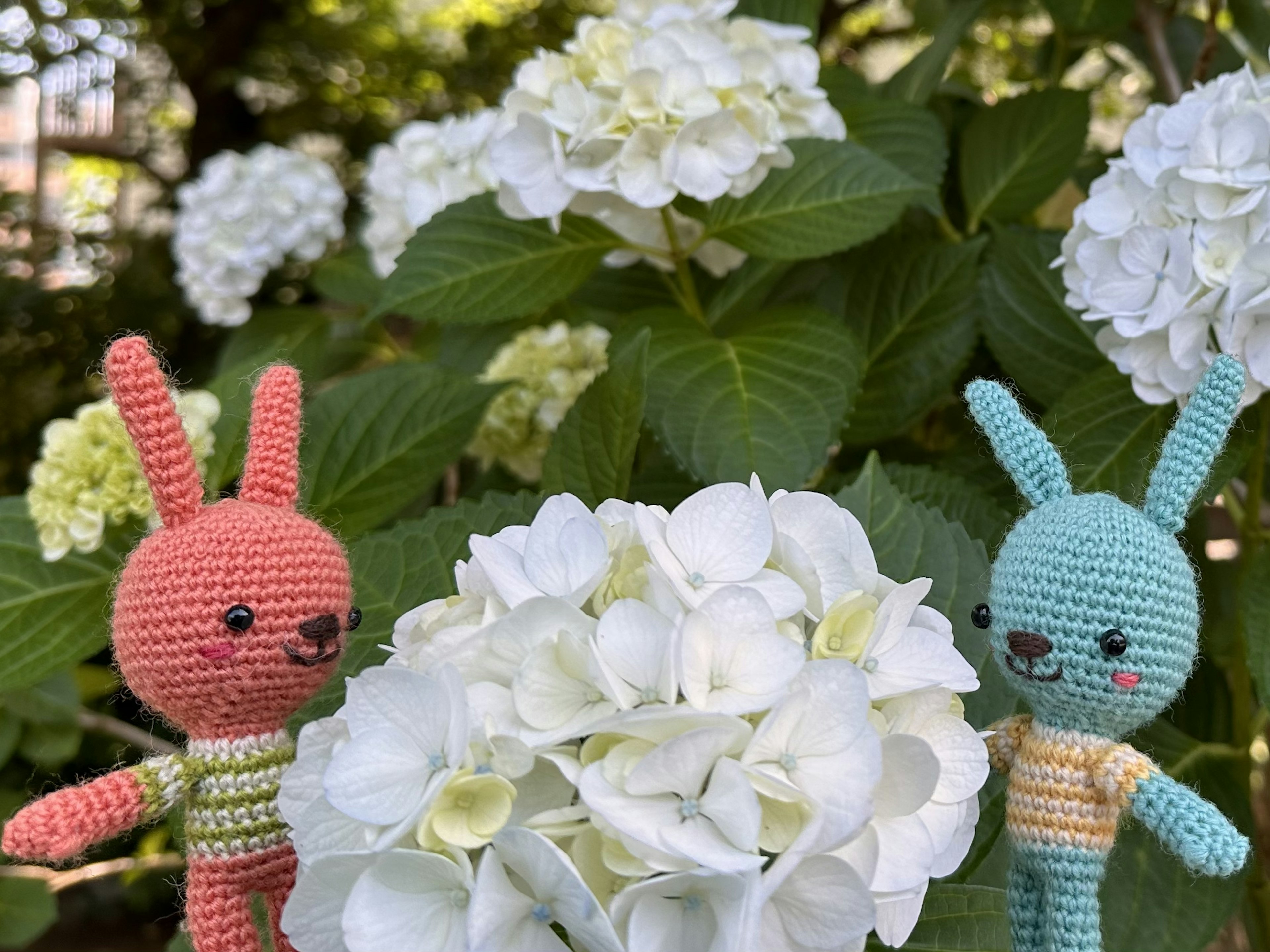 Deux lapins en crochet rouge et bleu à côté d'une fleur d'hortensia blanche