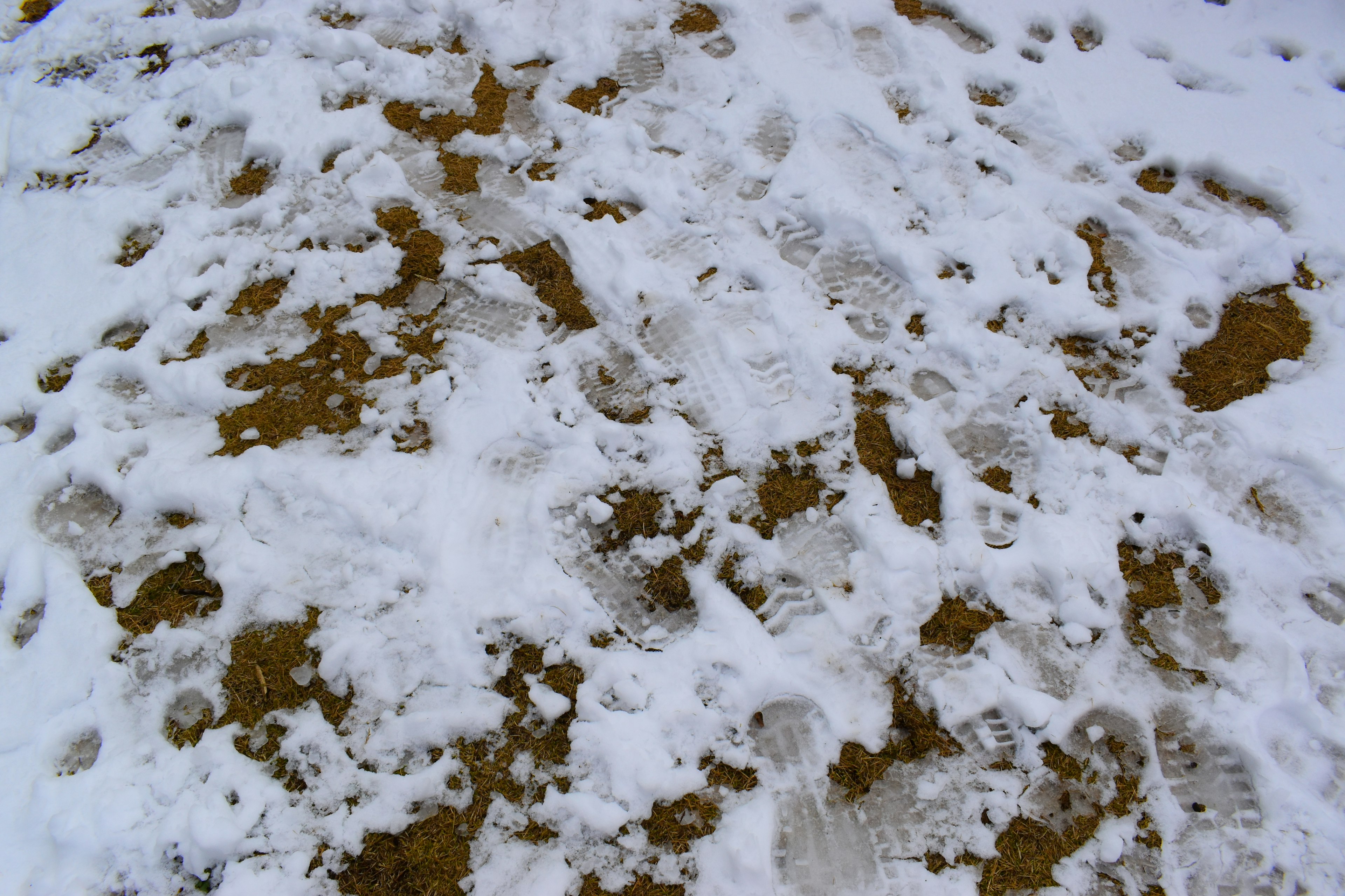 Footprints and dirt patches on a snow-covered ground