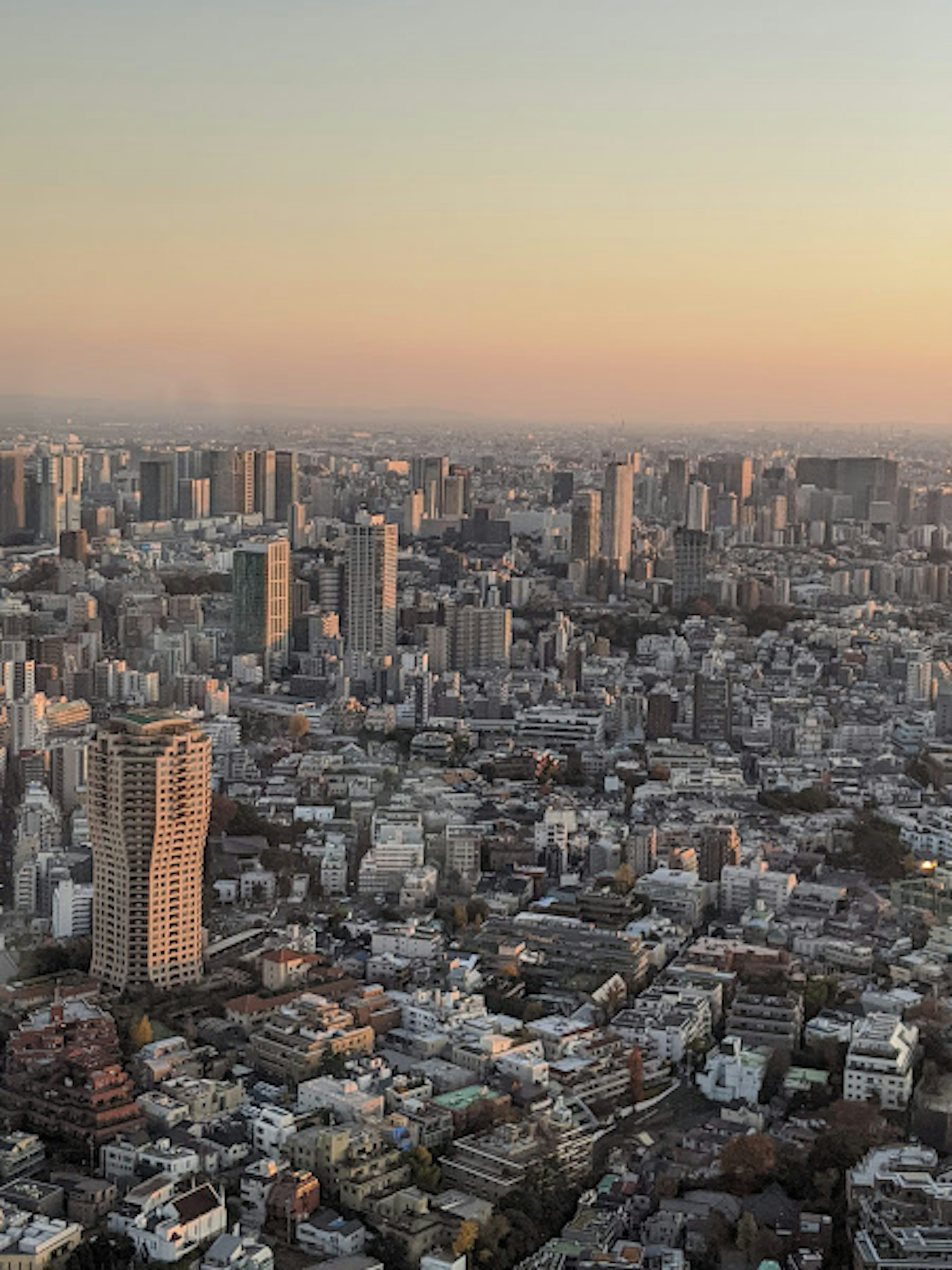 Panoramic view of a city at dusk featuring skyscrapers and residential areas