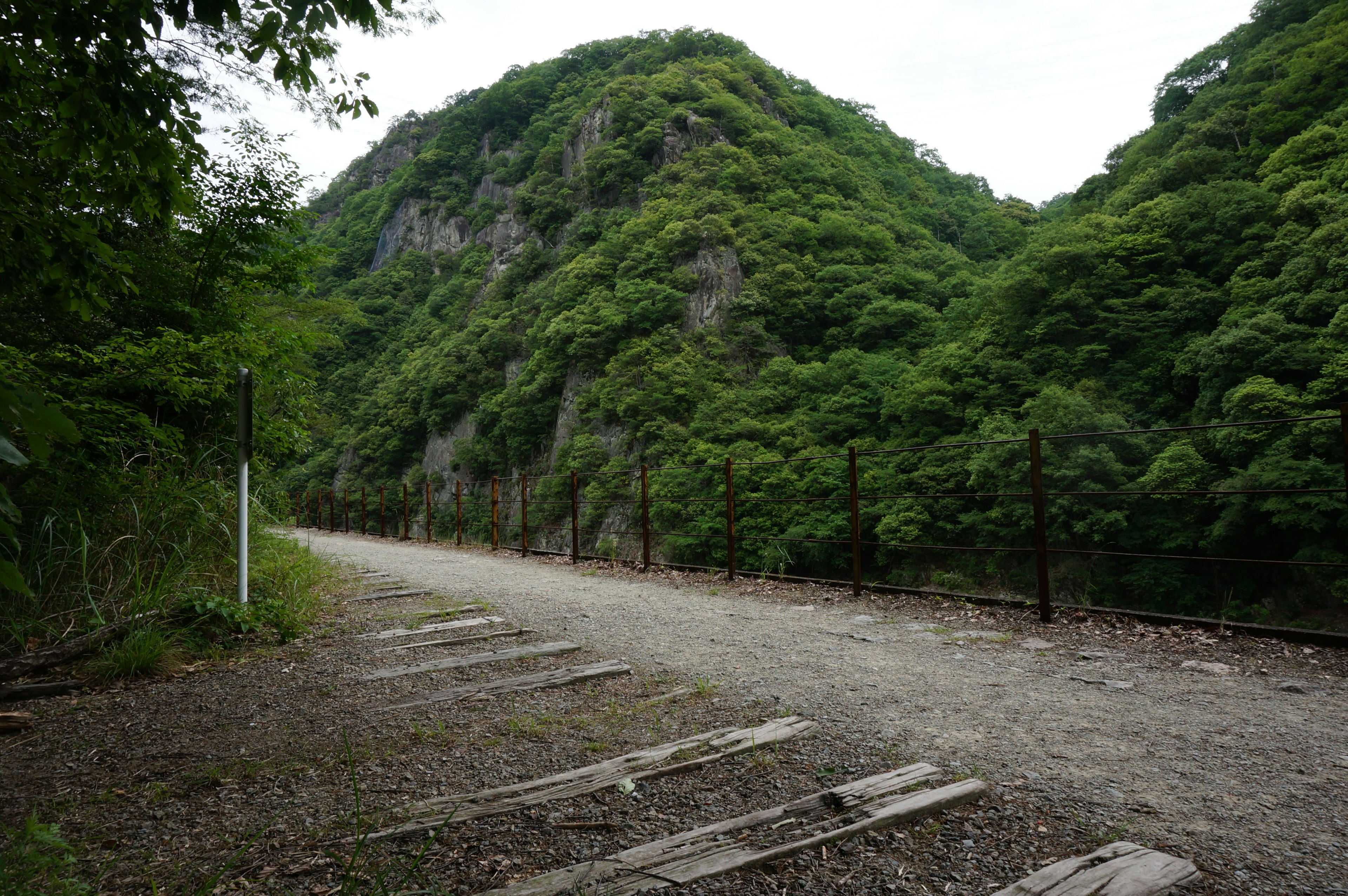 Scenic path surrounded by lush green mountains