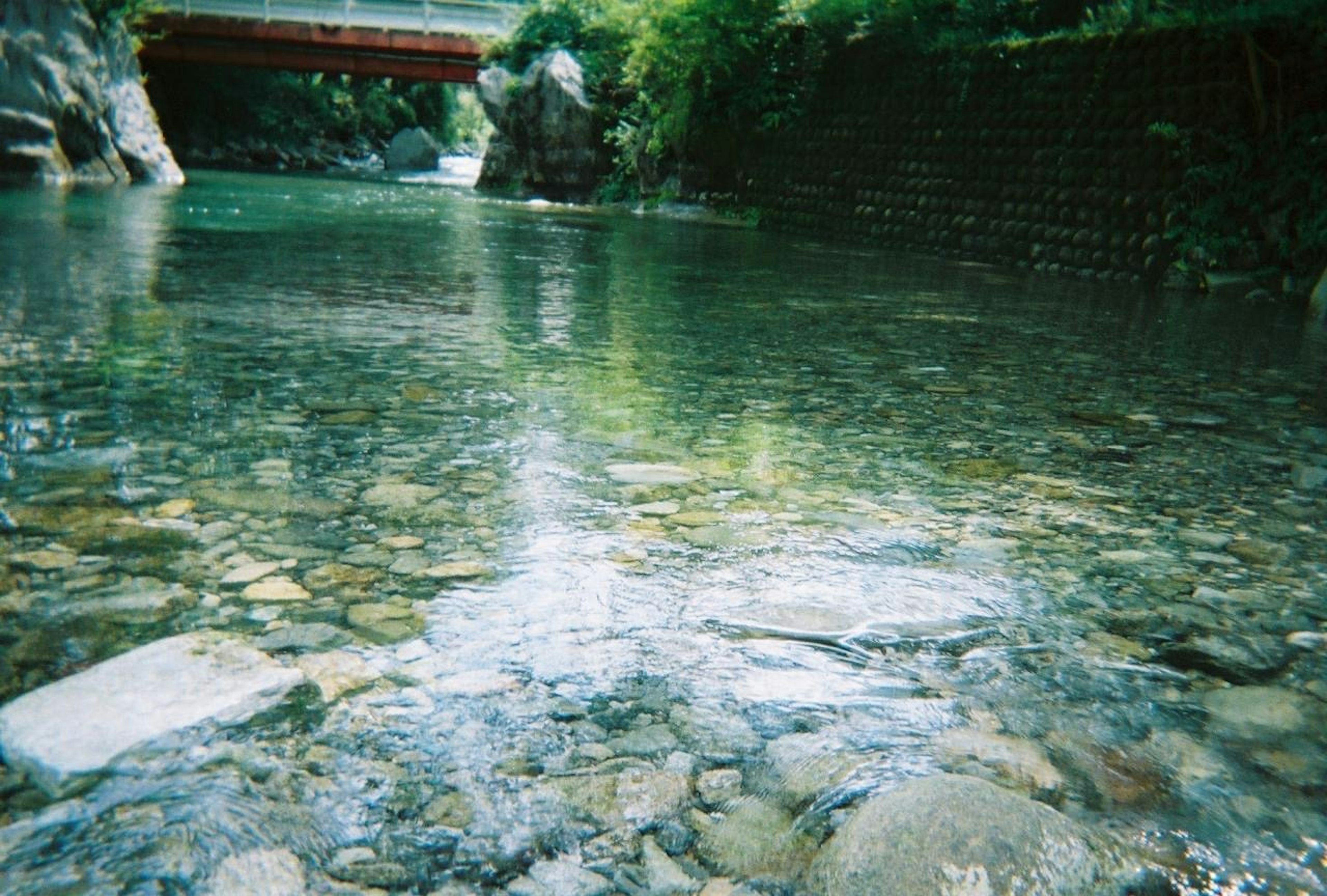 清らかな水が流れる川の景色 石と緑の自然が調和した美しい風景