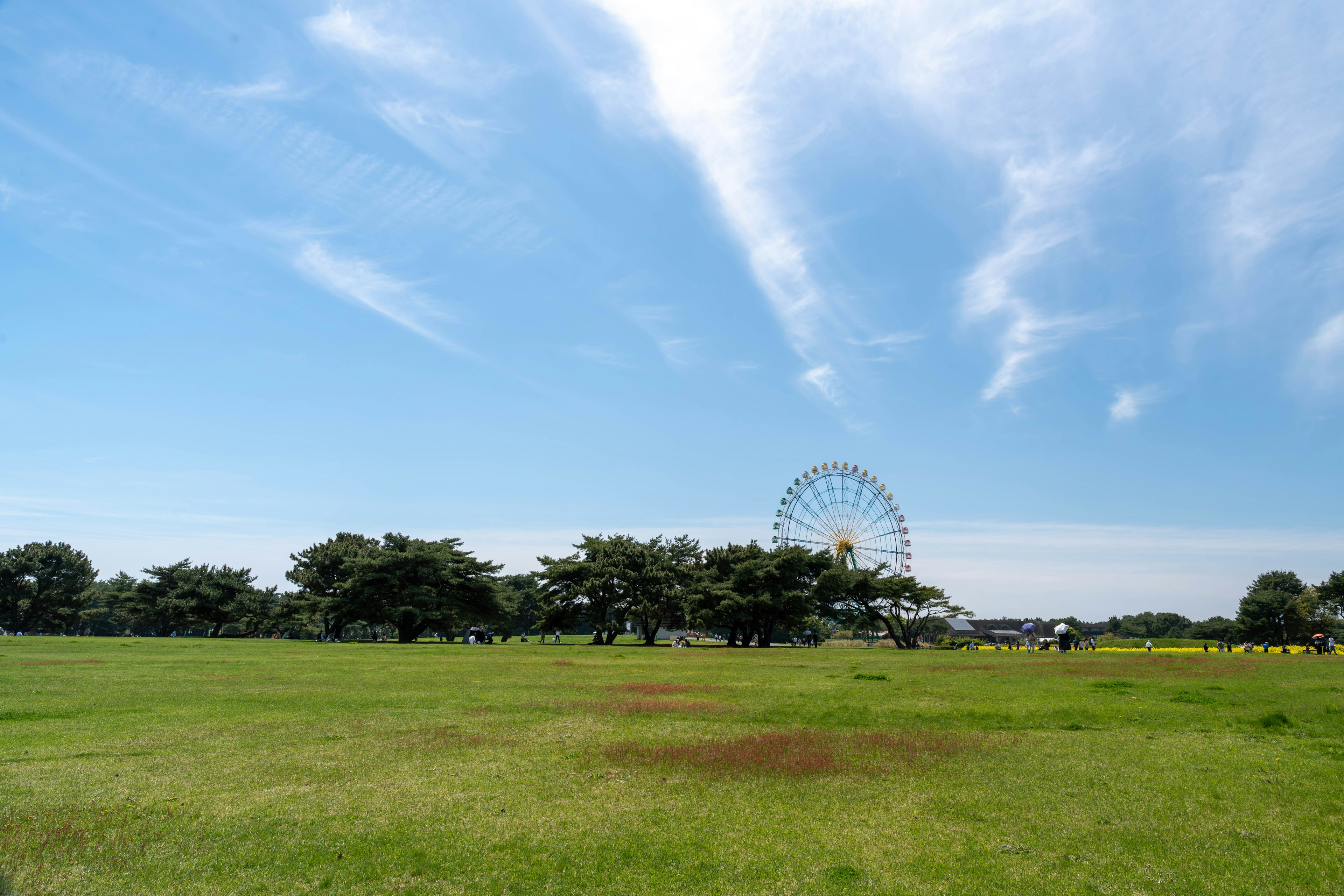 青空と雲が広がる景色に観覧車が見える緑の公園