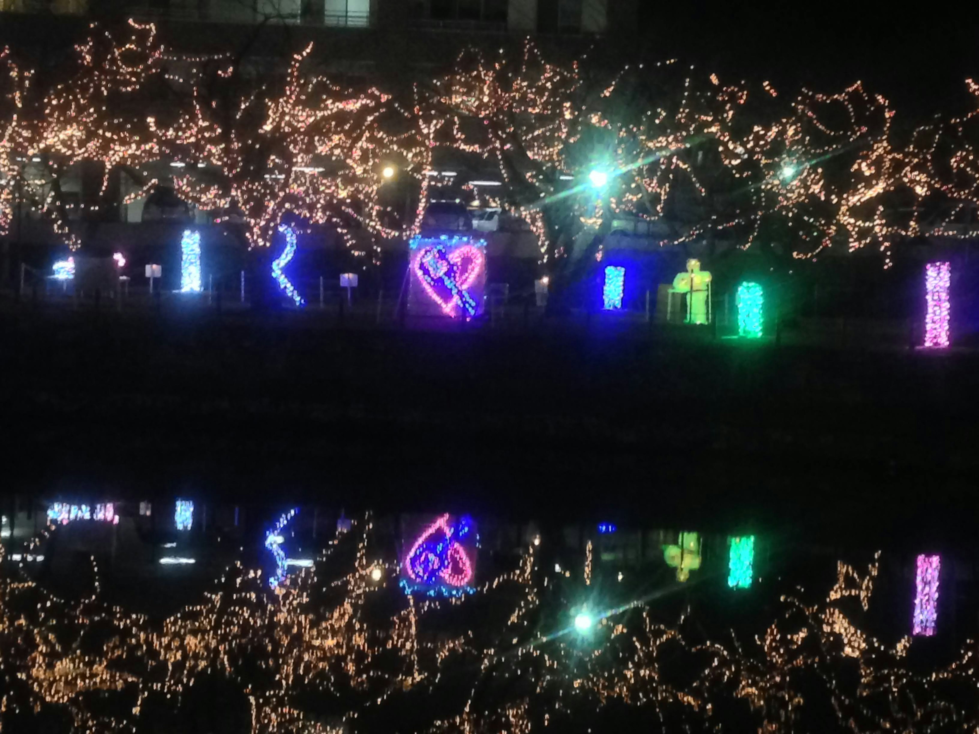 Colorful neon lights and illuminated branches reflected on the water surface