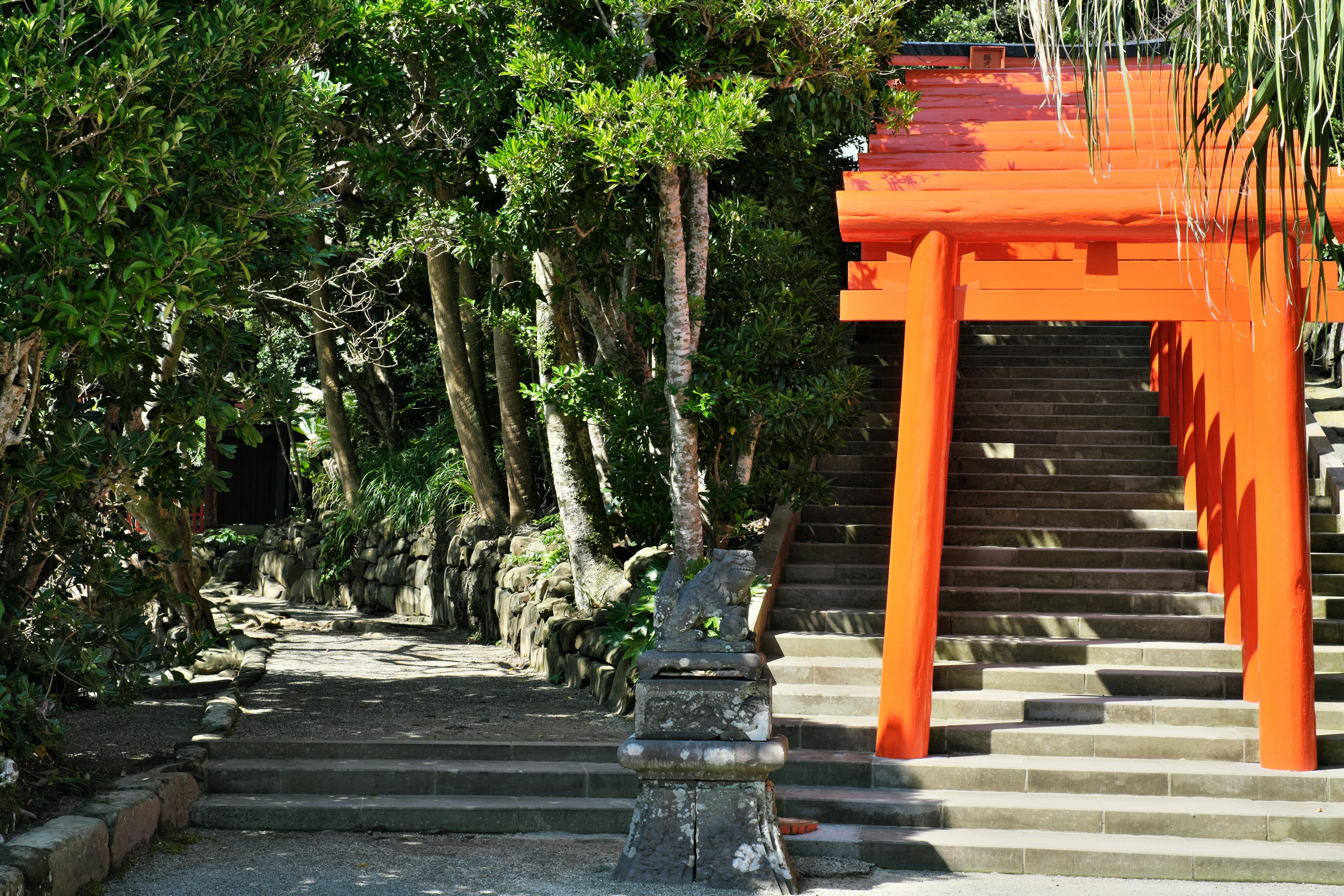 Cổng torii đỏ với những bậc thang đá bao quanh bởi cây cối xanh tươi