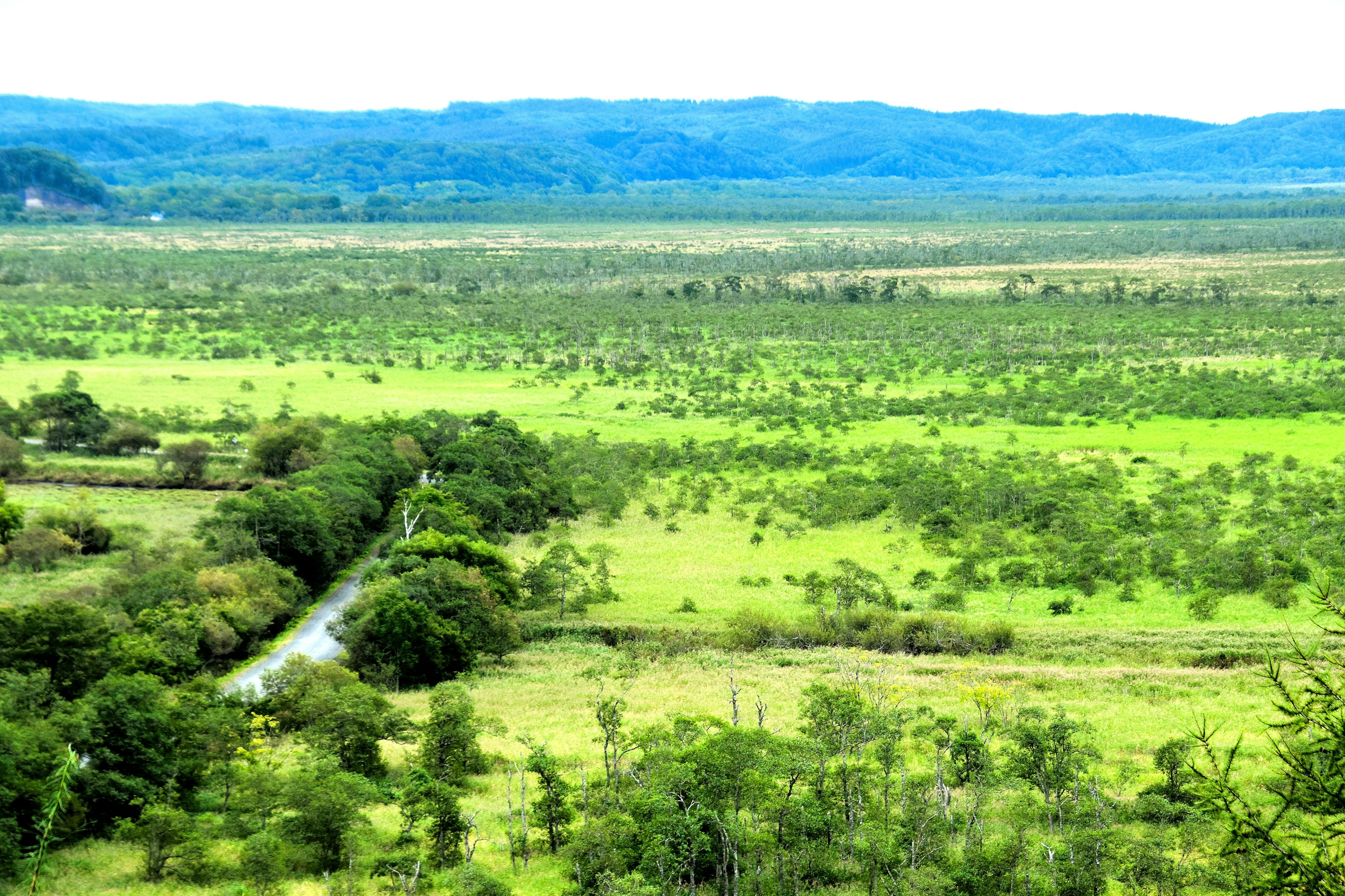 Amplio paisaje verde con un río serpenteante