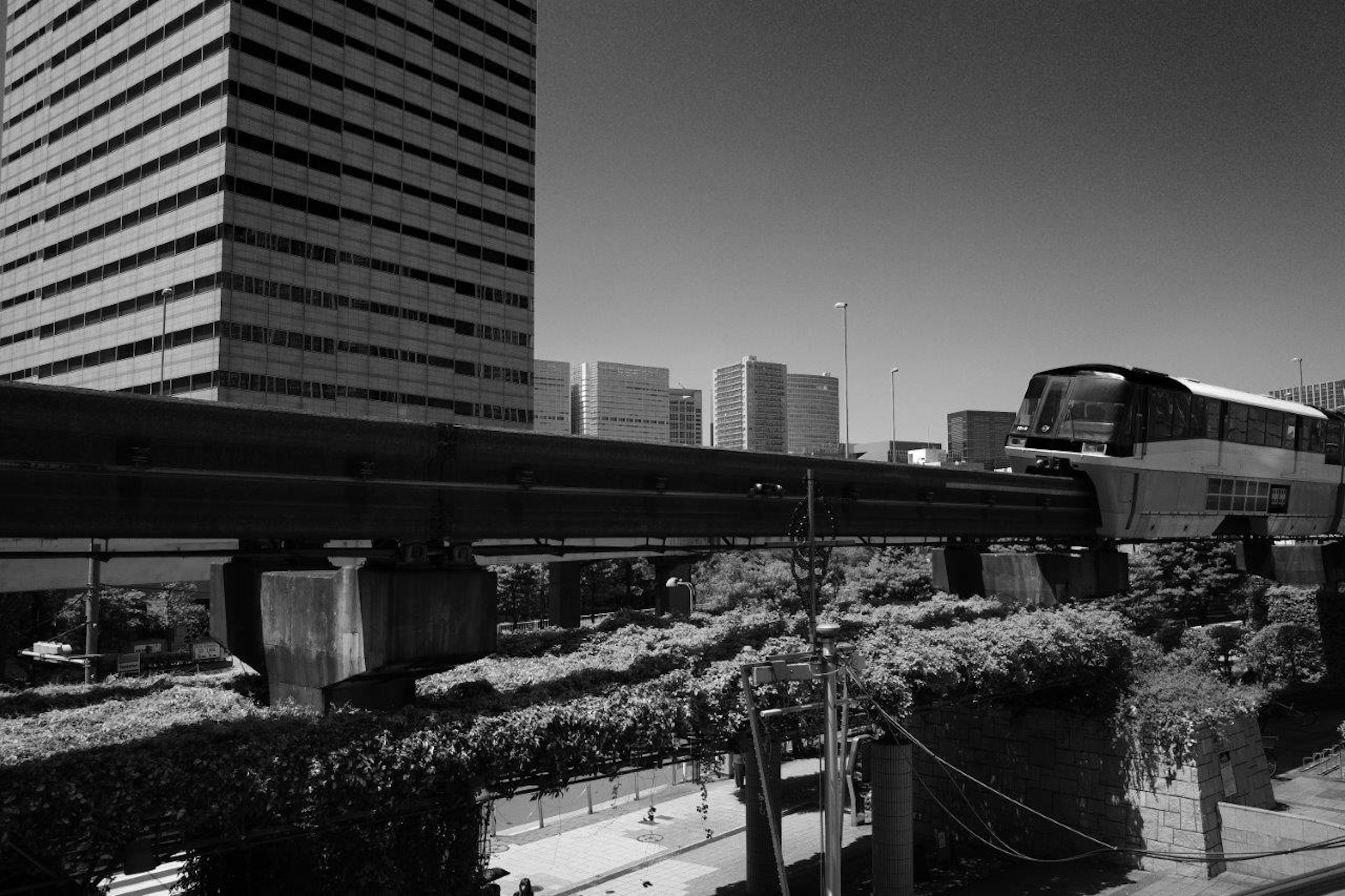 Urban scene with a monorail passing by tall buildings and greenery