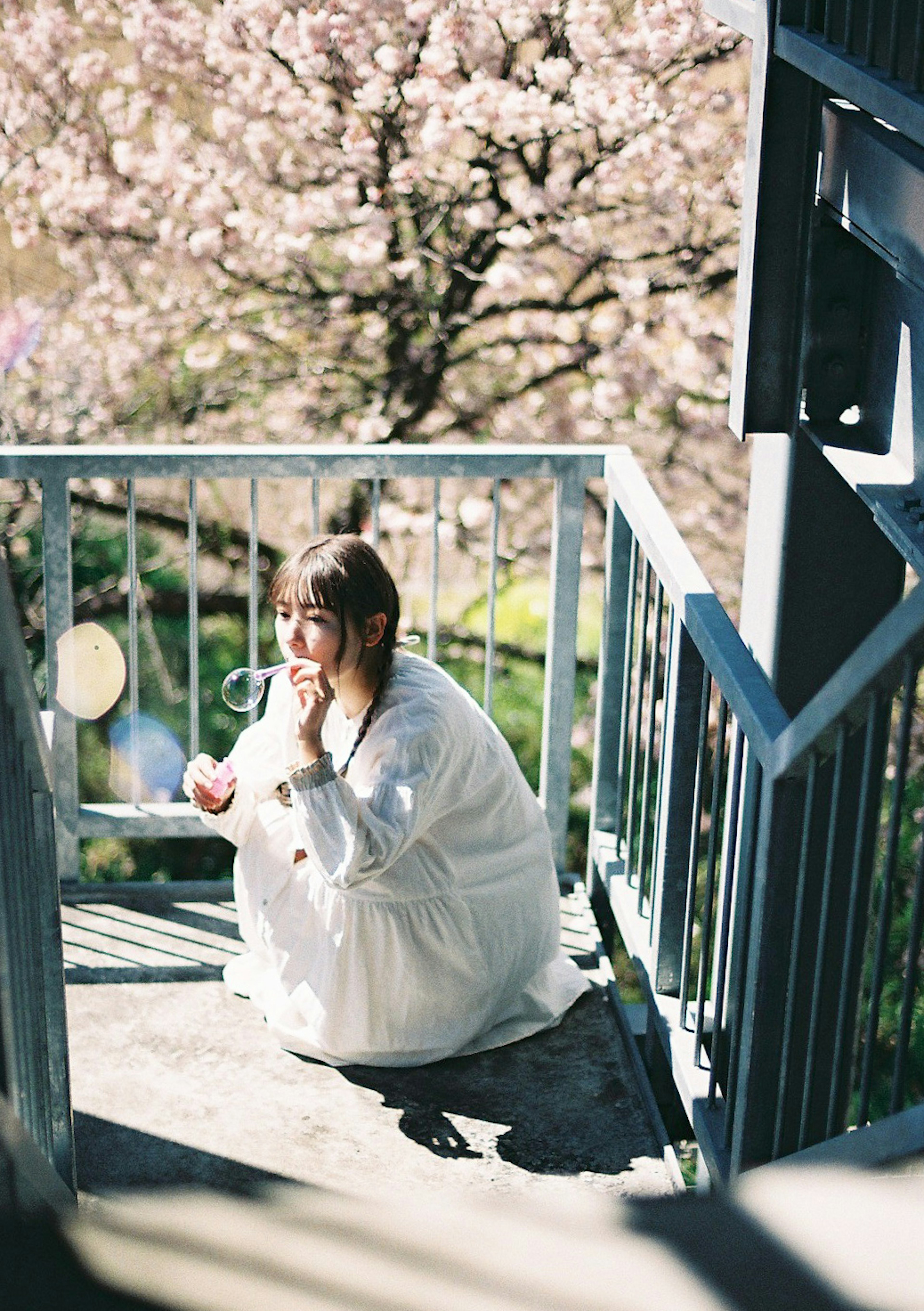 階段に座る女性 白い服 桜の木が背景