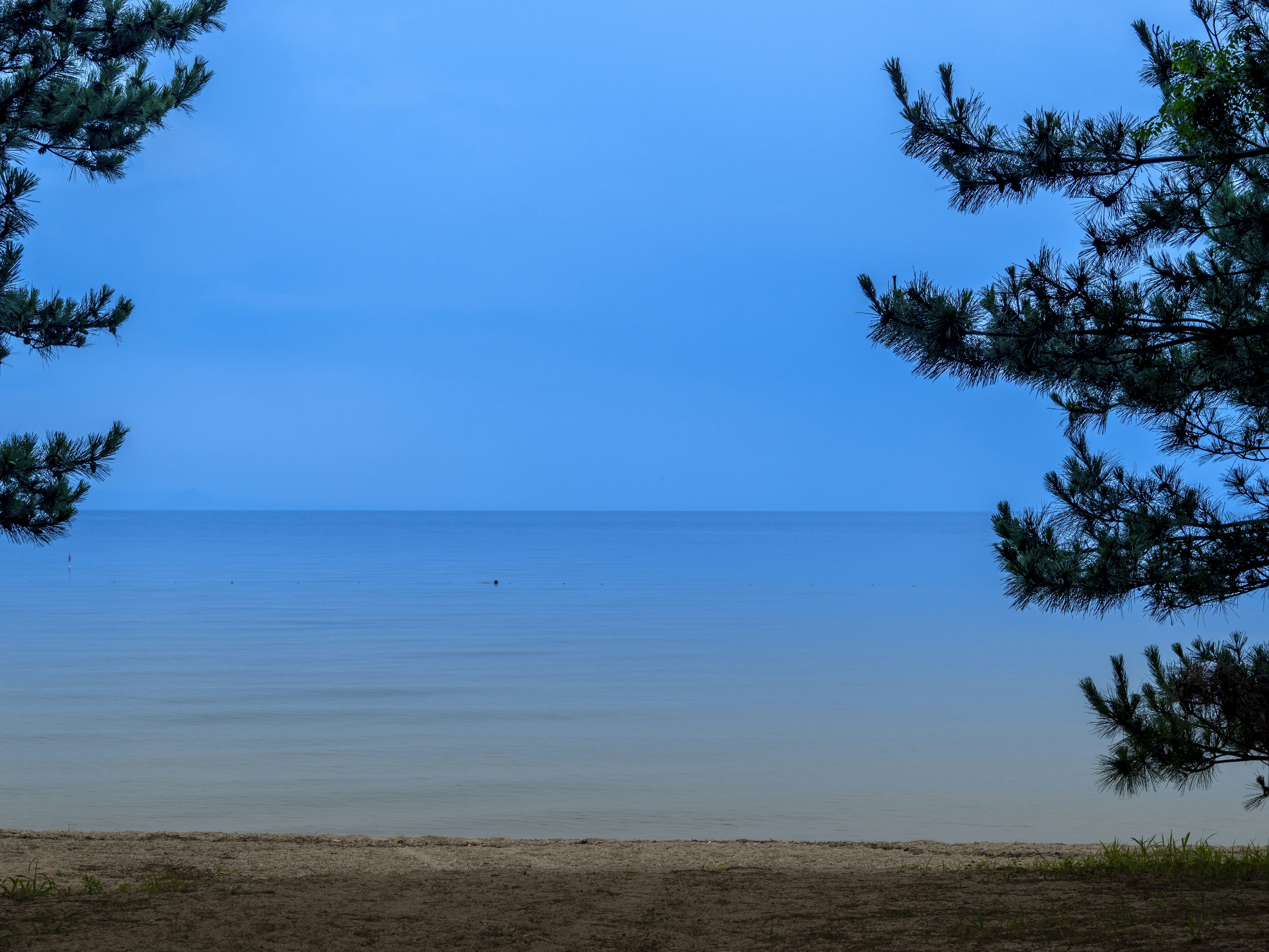 Pemandangan laut tenang dan langit biru dengan siluet tanaman di kedua sisi