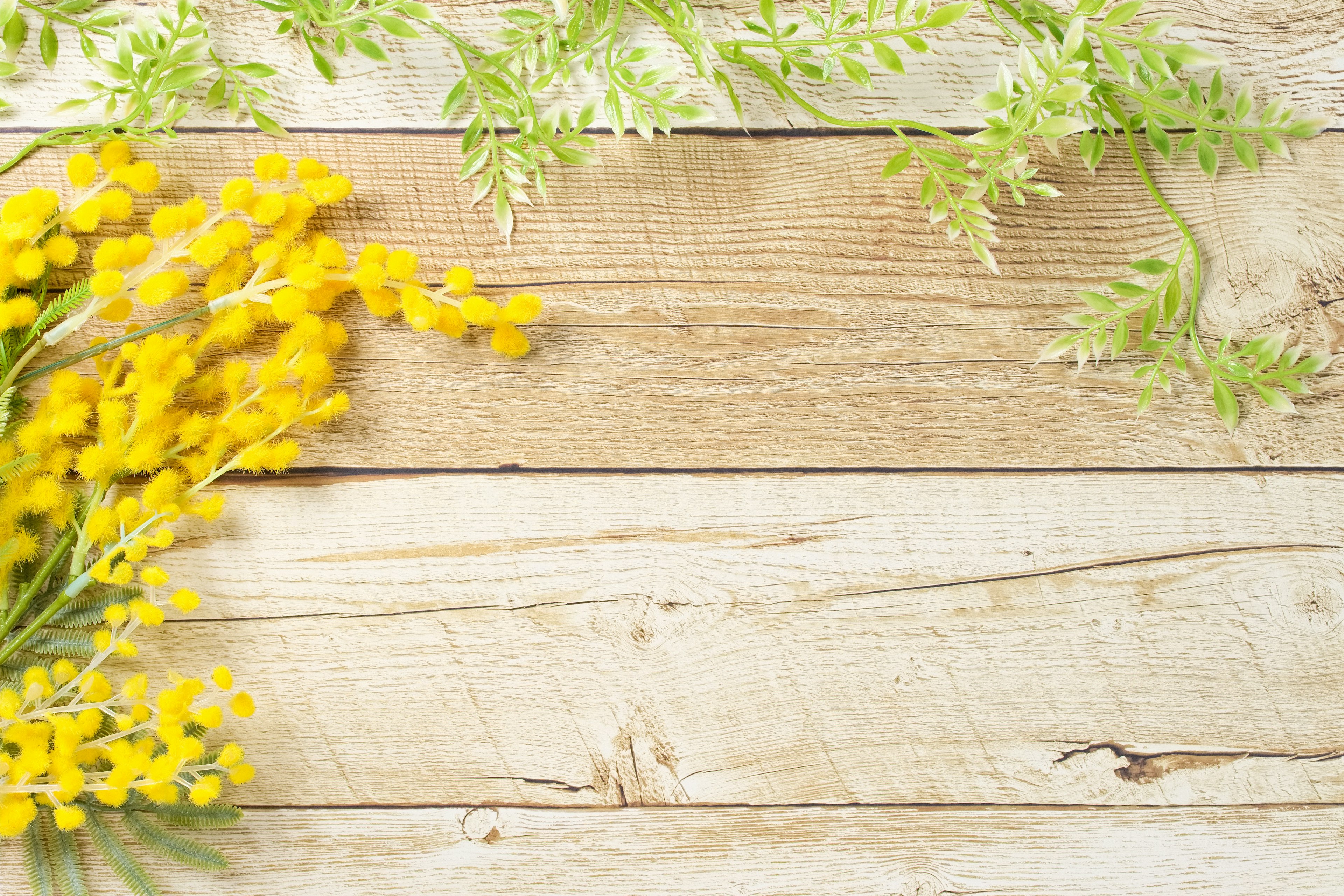 Flores de mimosa amarillas y hojas verdes sobre una mesa de madera