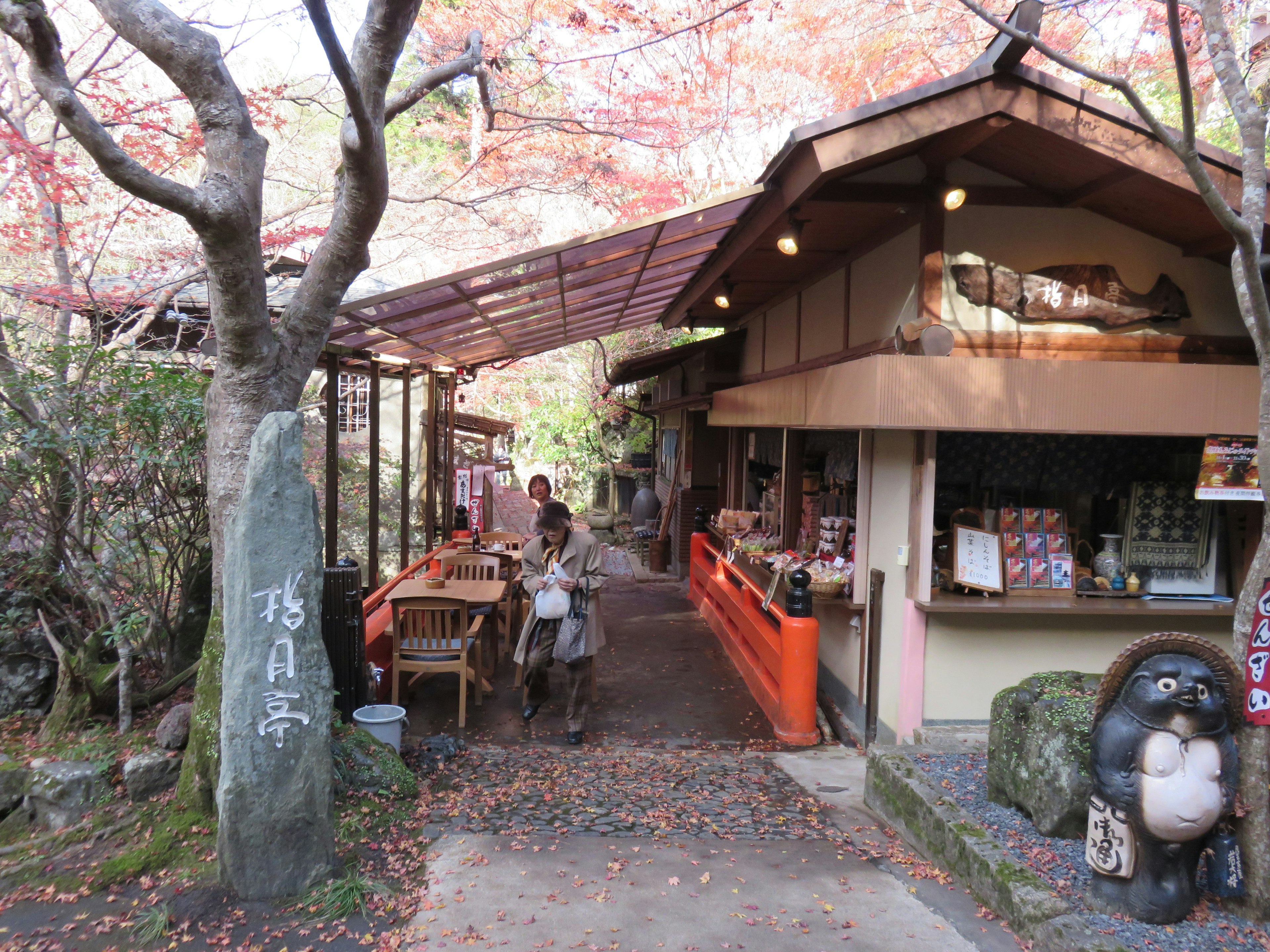 Traditionelles japanisches Teehouse umgeben von herbstlicher Landschaft mit Holztischen und -stühlen