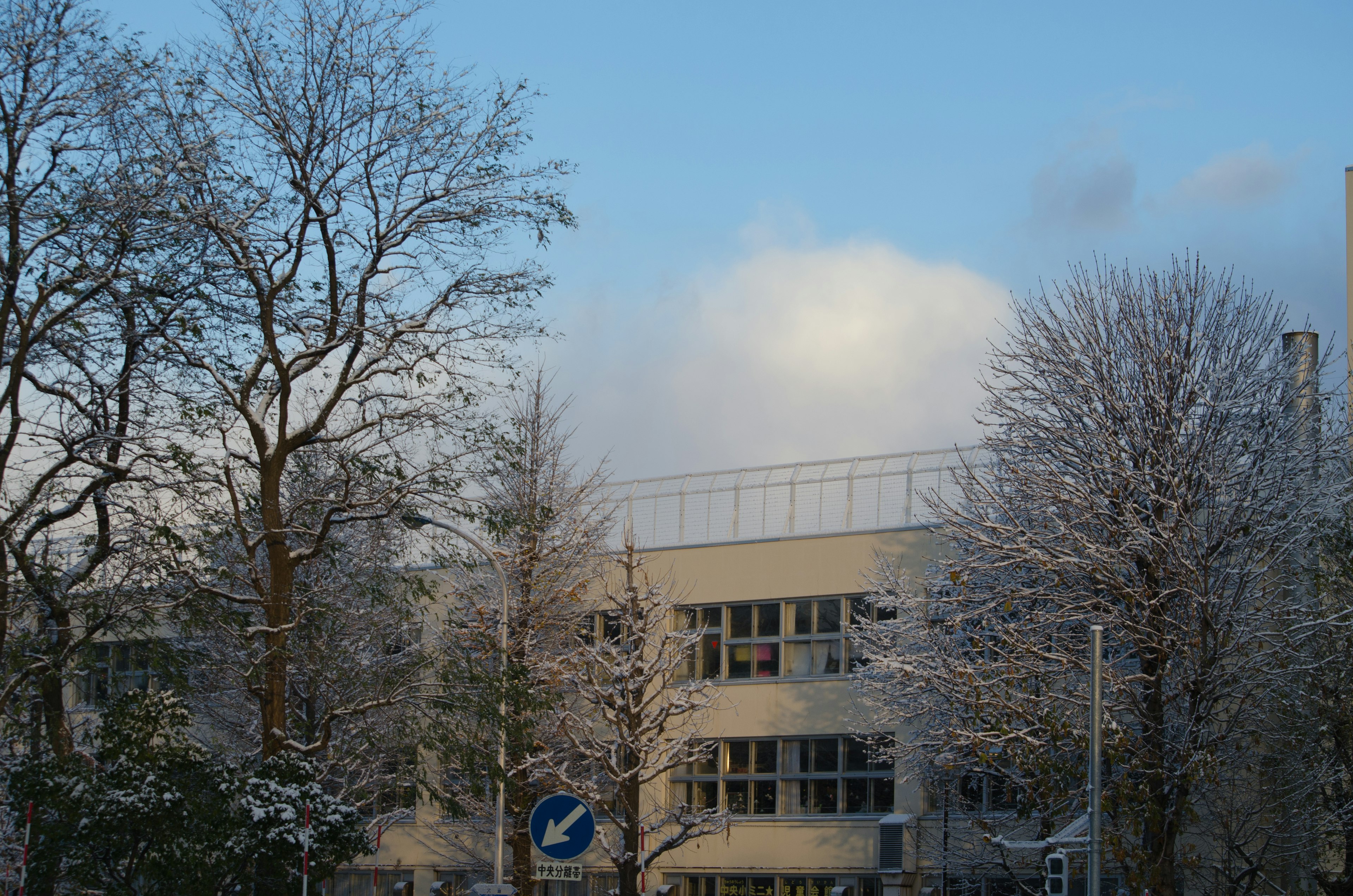 Winterszene mit schneebedeckten Bäumen und einem Gebäude unter blauem Himmel