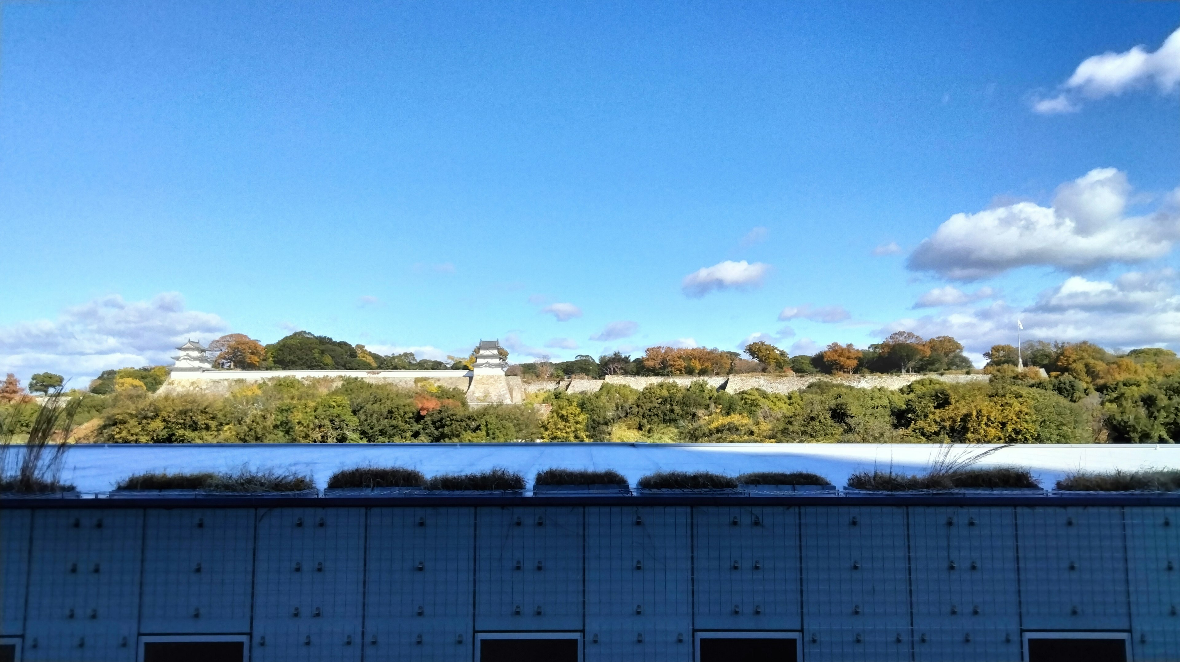 青空の下に広がる緑の木々と城壁の景色