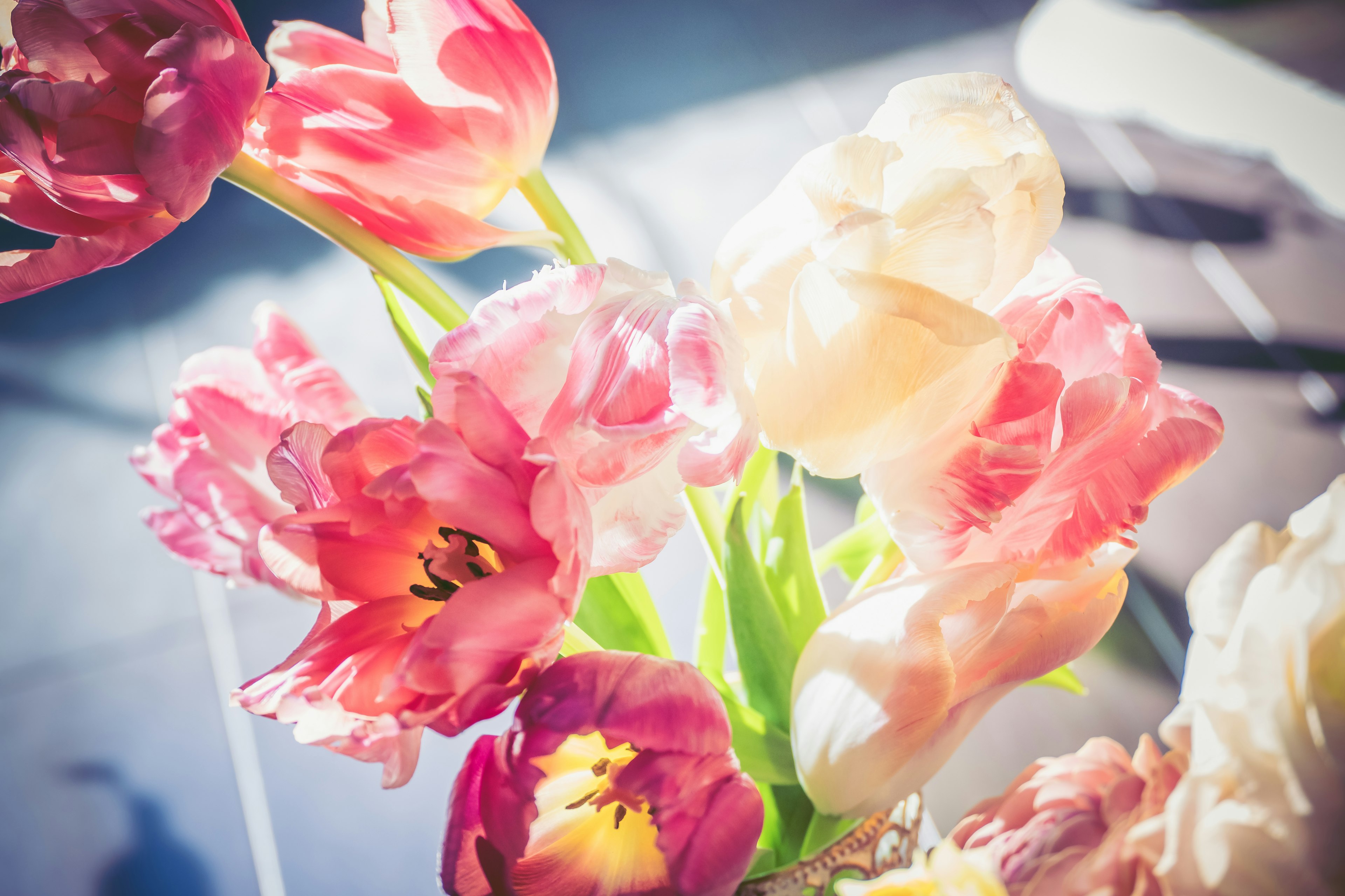 A vibrant bouquet of tulips in various colors illuminated by bright light