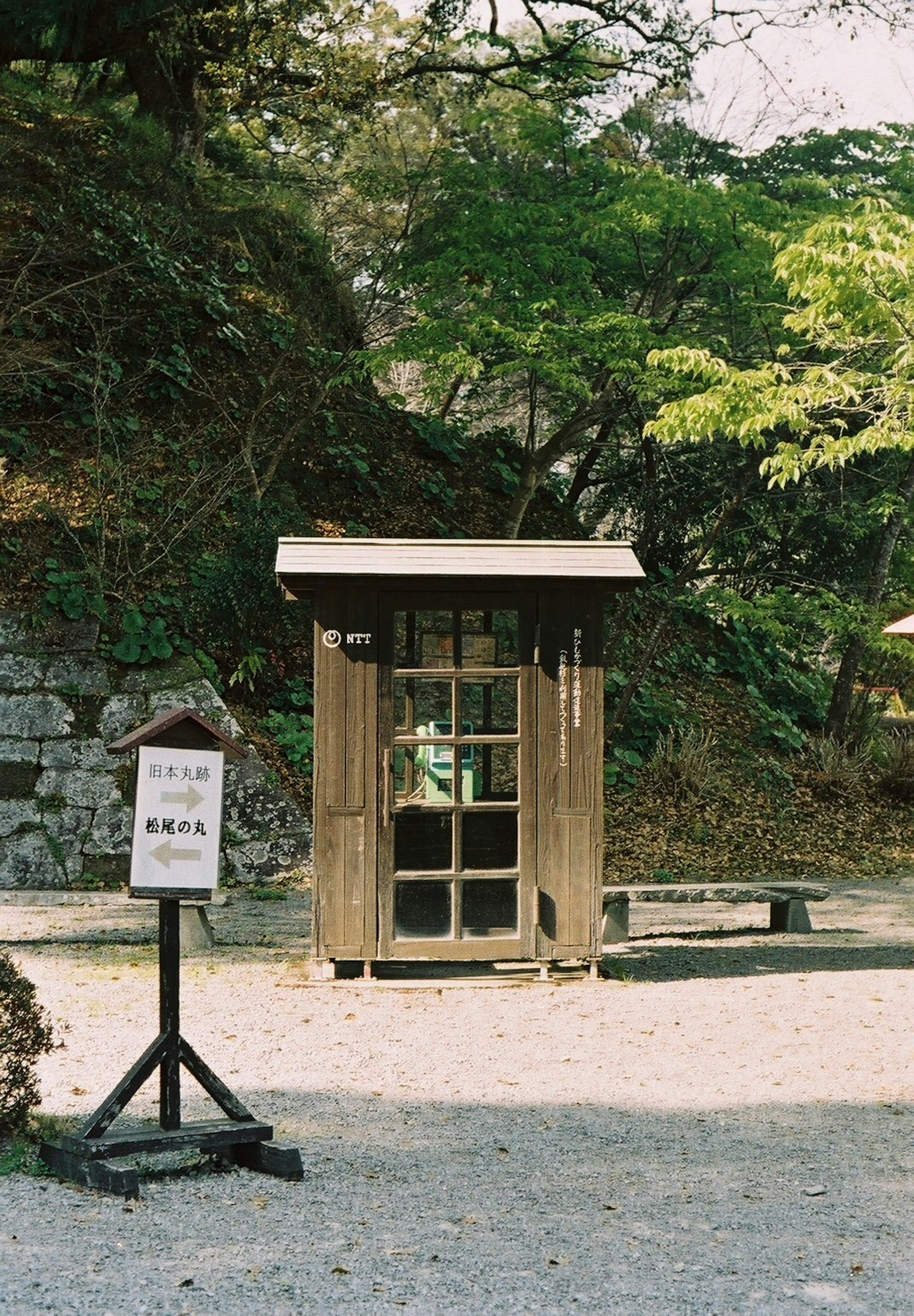 Kiosque en bois entouré d'arbres verts luxuriants