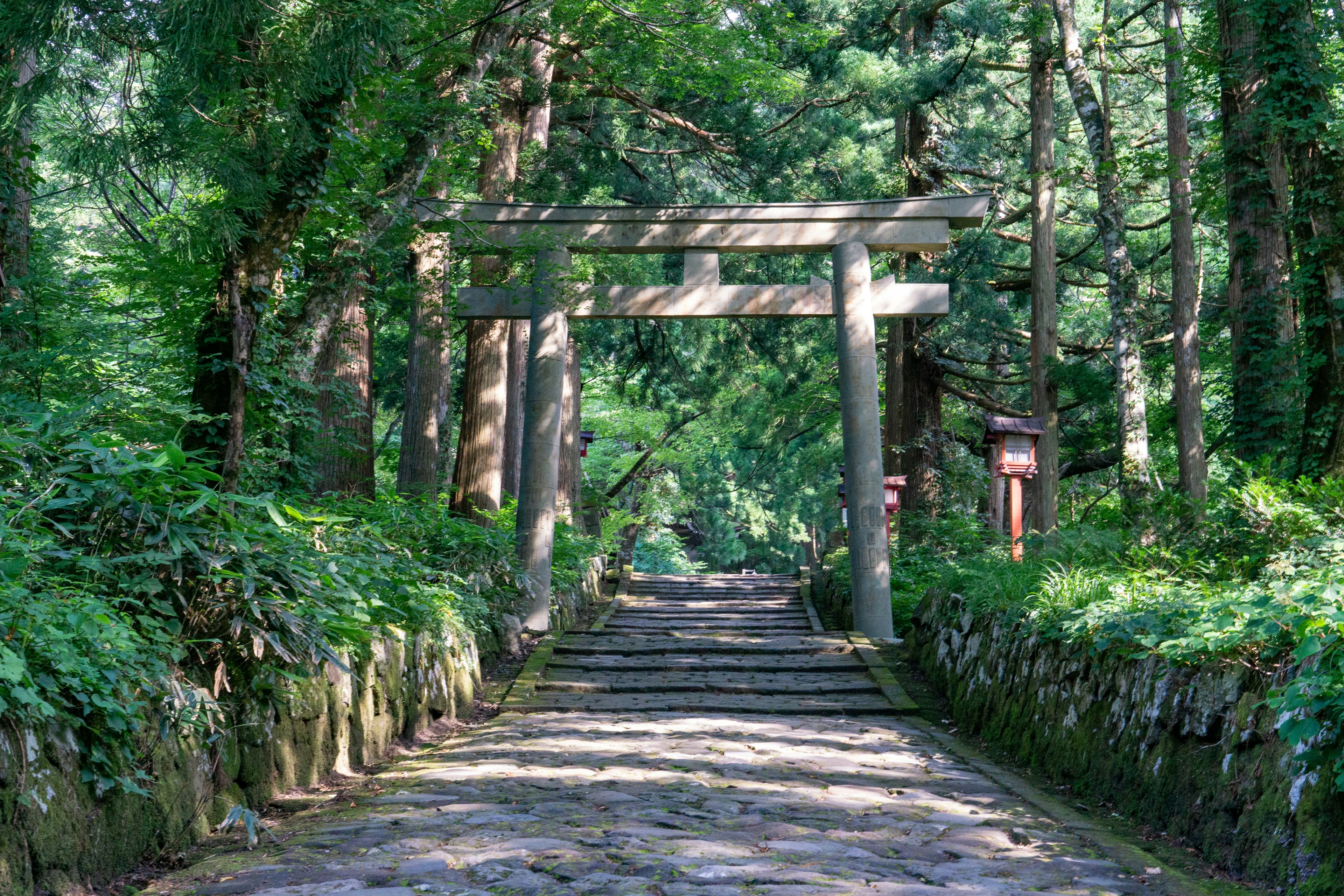 Camino de piedra que lleva a una puerta torii rodeada de vegetación exuberante