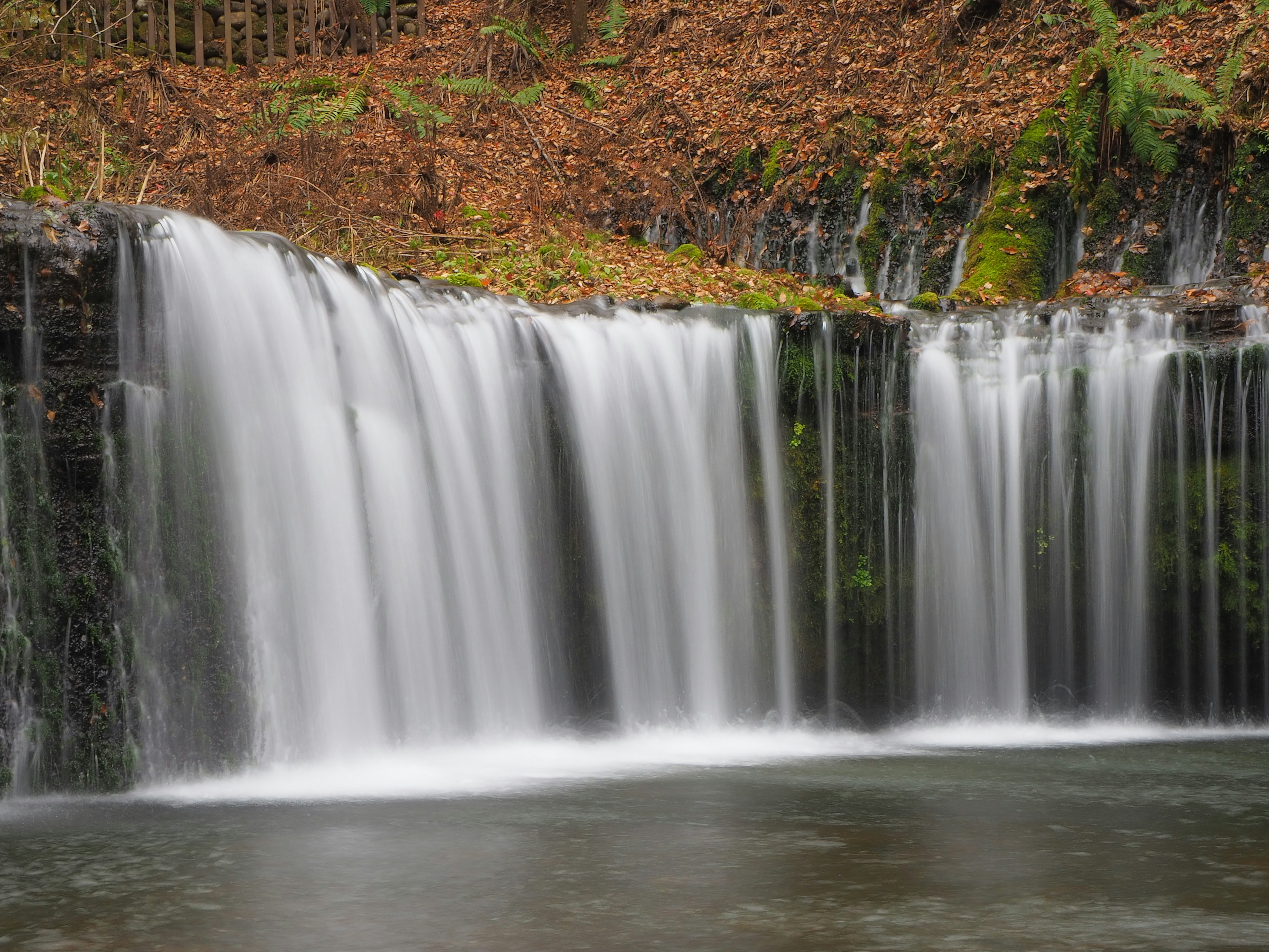 Sebuah air terjun yang indah mengalir dikelilingi oleh dedaunan hijau dan daun musim gugur