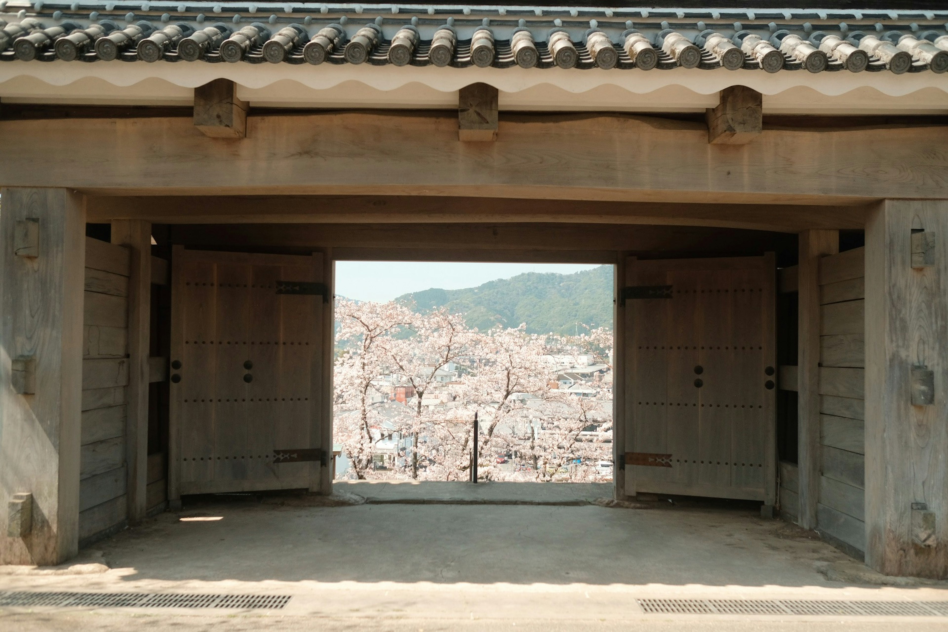 城の門から見える風景と山々