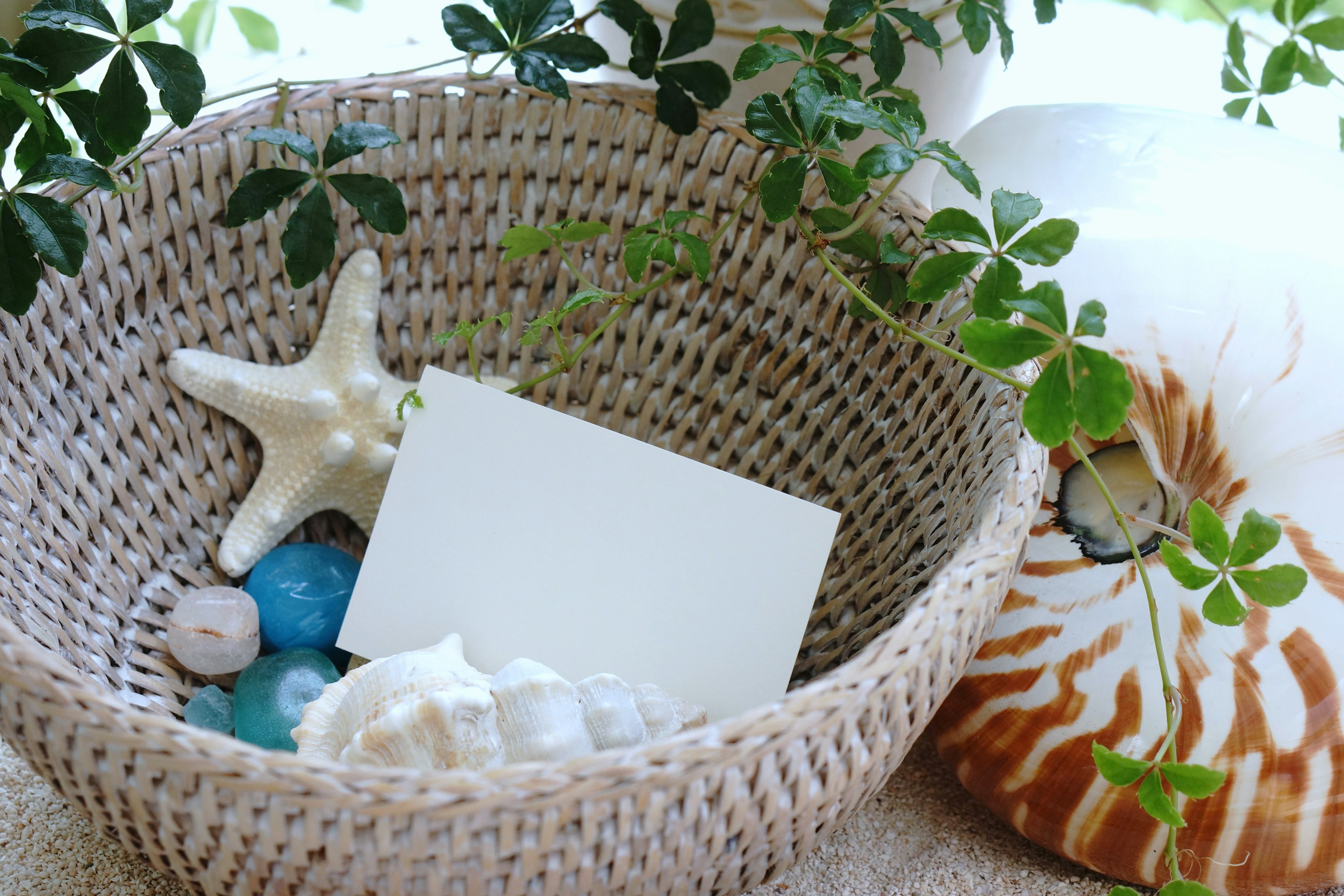 Image of a basket containing seashells and a blank card