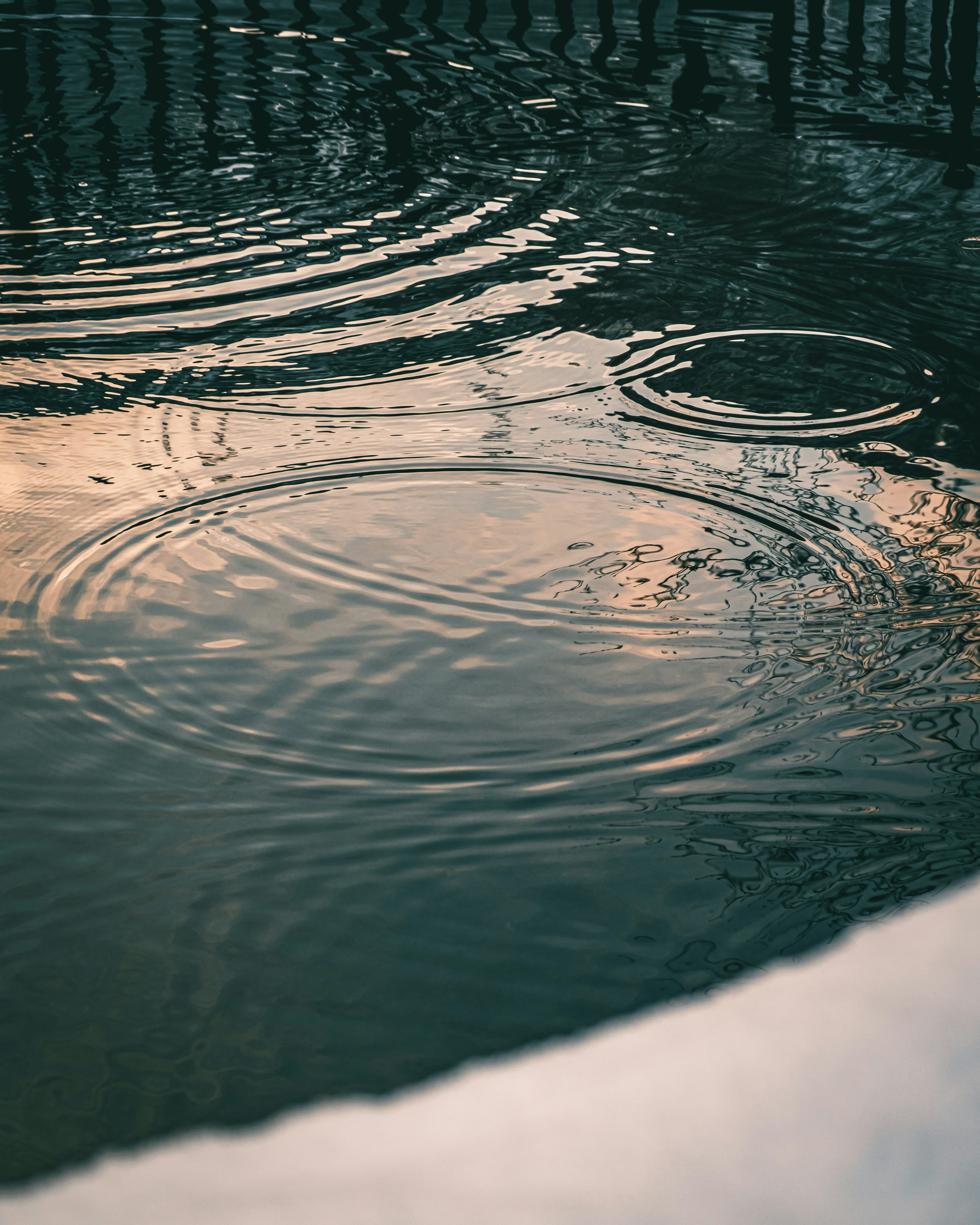 Ripples spreading on the water surface with gentle reflections