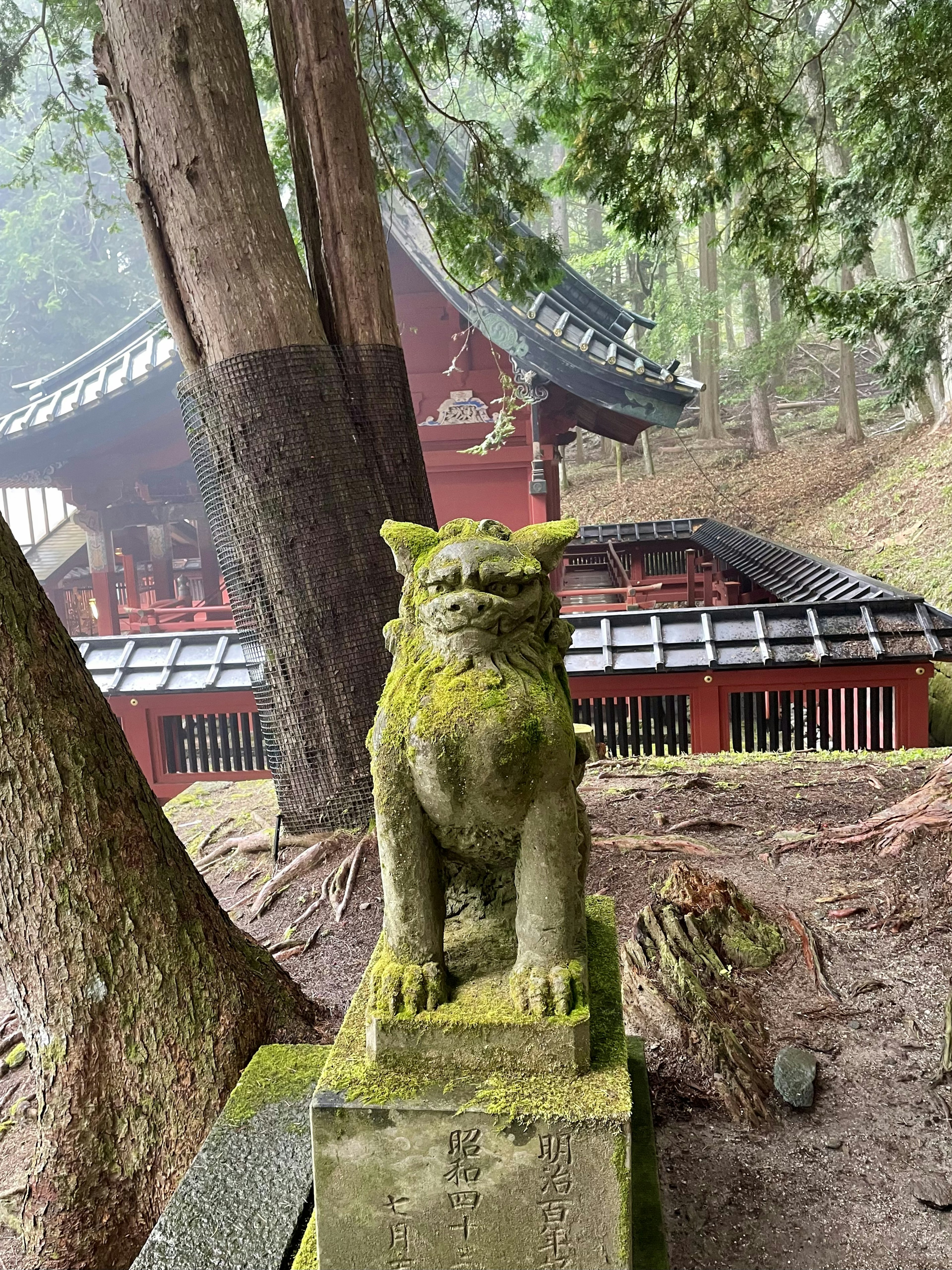 Moosbedeckte Komainu-Statue im Nebel mit einem alten Schrein im Hintergrund