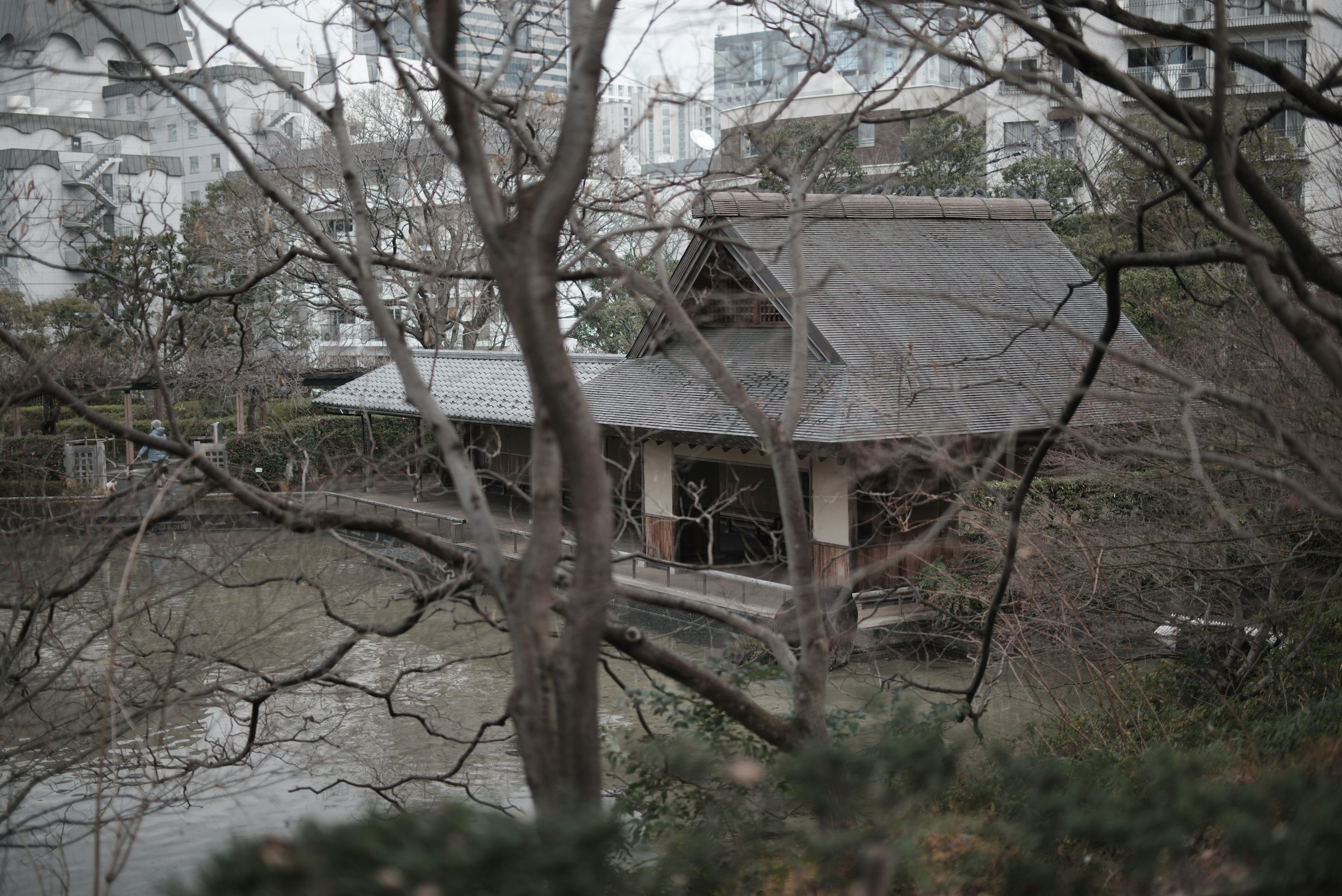 静かな池の近くにある伝統的な日本の建物と裸の木々