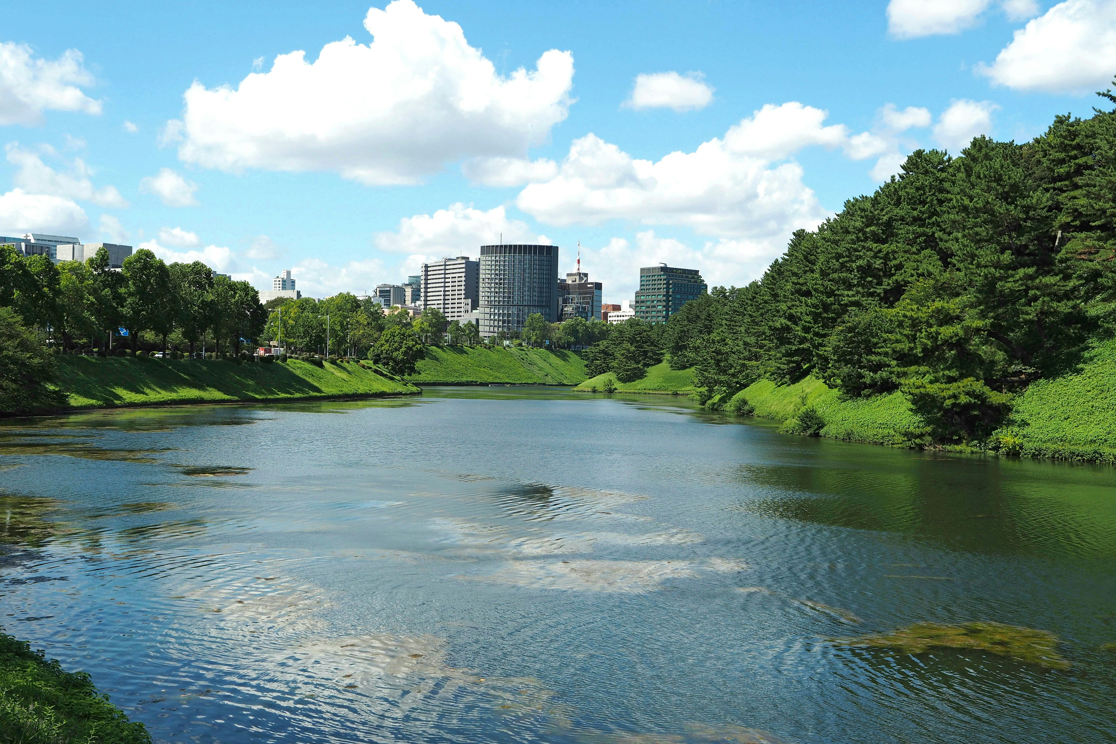 Danau tenang dikelilingi oleh vegetasi subur dan gedung modern di bawah langit biru