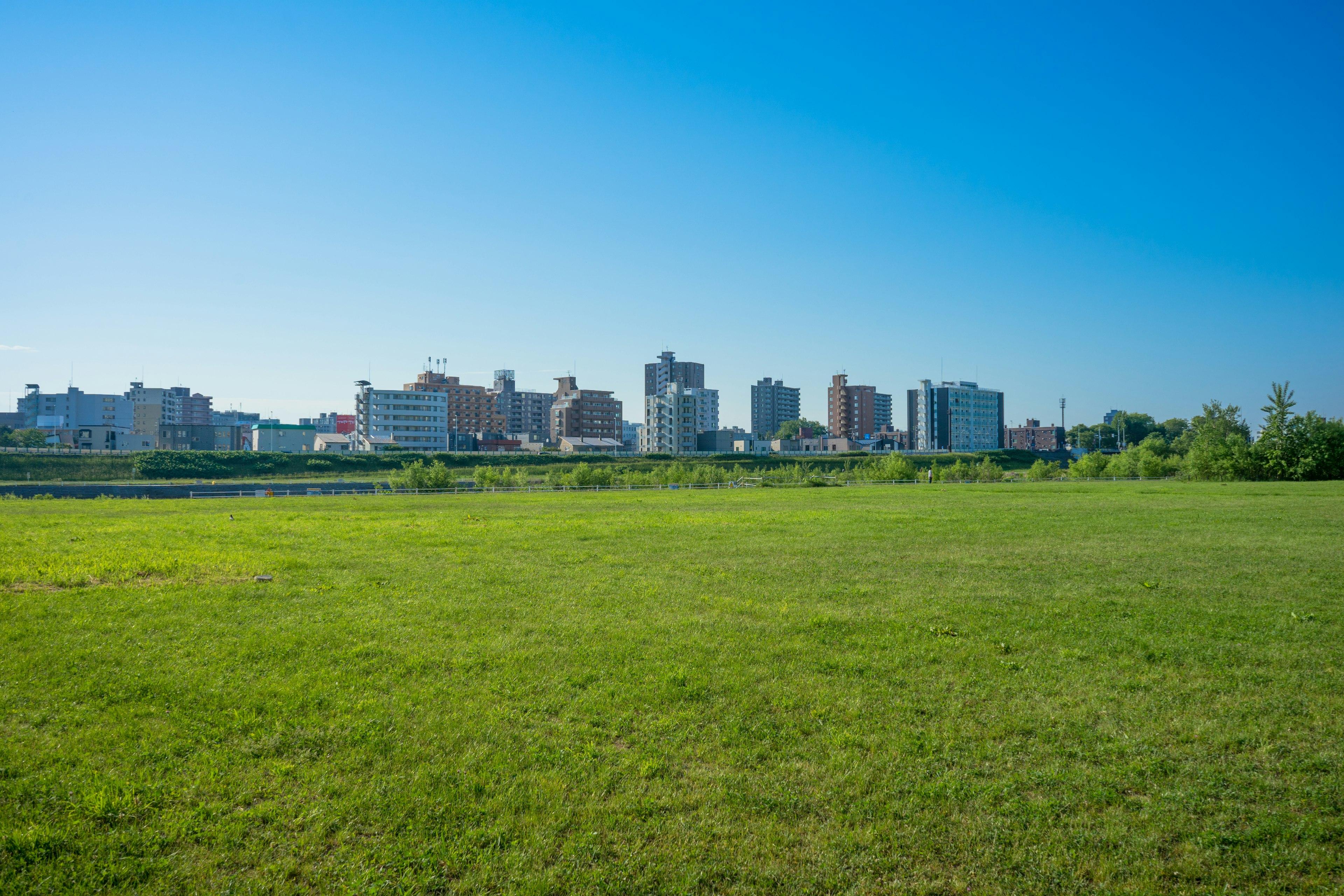 Champ de gazon vert avec une ligne d'horizon de bâtiments sous un ciel bleu clair